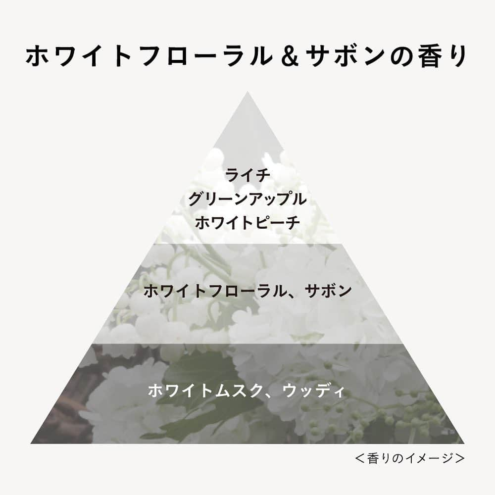 アール編集部さんのインスタグラム写真 - (アール編集部Instagram)「髪の"質感"ってどう作ればいいの？🤔   スタイリング迷子さんに朗報💇🏻‍♀️✨  サロンでオイルをつけて仕上げてもらった時のような「髪の質感」を家で作れるアイテムが登場！  選べる4タイプのオイルで狙ったニュアンスが、つけた瞬間から夕方まで続く🧖🏻‍♀️🤍 ふんわり優しい香りにも注目です🫧   #PR #リーゼ #ar #ニュアンススタイリングオイル #スタイリングオイル #ヘアオイル #美髪 #あか抜けヘア」11月24日 12時00分 - ar_magazine