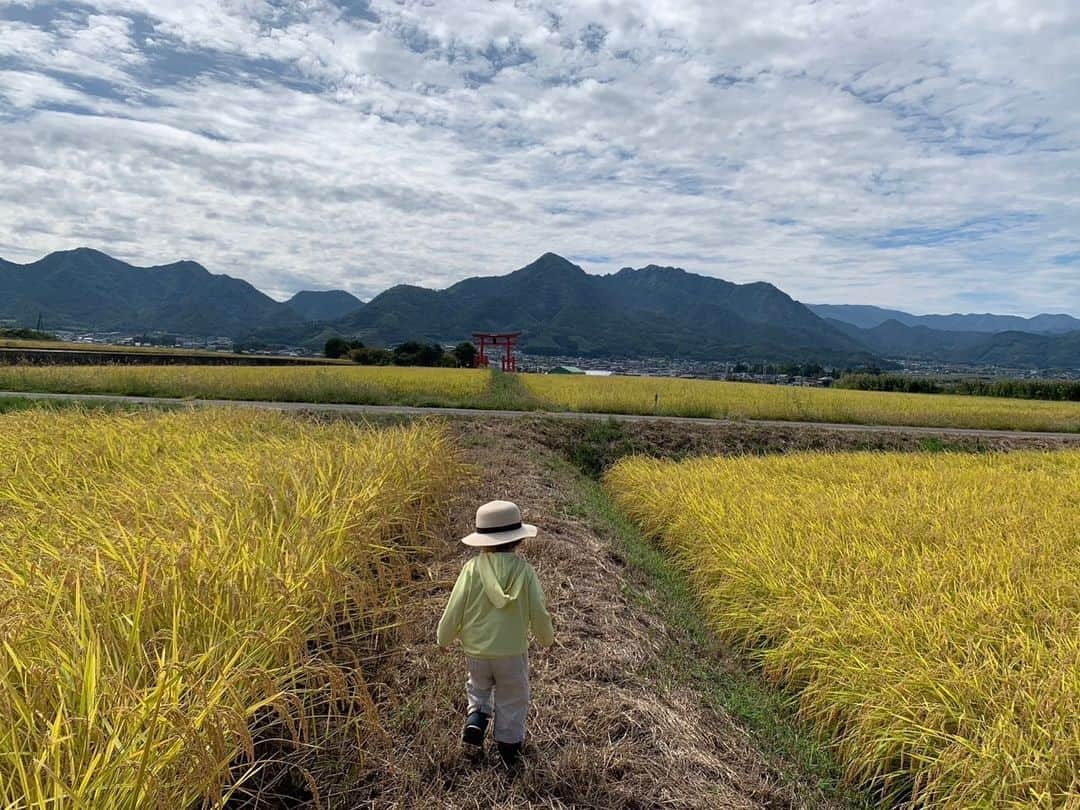 東京カメラ部公式のインスタグラム：「【いよいよ11/30まで！】信州上田の魅力”新”発見フォトコンテスト2023開催中！ . 詳細は @tokyocameraclub_cp04 のプロフィールにあるURLから （応募締切：2023年11月30日(木) 23:59まで） ※募集期間外の投稿は対象外となりますので、ご注意ください。  . 上田市は、東京カメラ部とのタイアップ企画として、ご好評いただいた昨年に引き続き、今年も“上田の魅力あふれる最高の1枚”をテーマとしたフォトコンテストを開催中。 多様な自然風景と、そこから育まれた生活・文化・歴史・産業・グルメなど、数多くあふれる上田の魅力が表現された作品を幅広く募集します。 . 応募は簡単！信州上田観光協会Instagramアカウント（ @uedacastle ）、信州上田なないろ農産物Instagramアカウント（ @uedananairo ）と「東京カメラ部」キャンペーン用Instagramアカウント（ @tokyocameraclub_cp04 ）をフォローし、募集期間内（2023年10月2日～11月30日）に、指定のハッシュタグ「 #上田新発見 」と応募部門ハッシュタグをつけて投稿するだけで応募完了です。 . 「観光シティプロモーション」部門（ #うえだ大好き ） 「地産地消推進・農業」部門（ #上田なないろ農産物 ） の2つの部門に分けて募集します。 . 受賞者には宿泊補助券や信州上田の特産品などの素敵な賞品をプレゼント！撮影機材は問いませんので、皆さまの素敵な写真をぜひご応募ください。<PR> . ※各種法令、マナー、関係者の指示に従った撮影をお願いします。 . フォトコンテストの詳細は @tokyocameraclub_cp04 のプロフィールにあるURLから . ※作品投稿時、または投稿から24時間以内、かつ応募期間中に指定のハッシュタグをつけてください。 InstagramのAPI変更によって、投稿後24時間を過ぎた過去の投稿に指定のハッシュタグをつけていただいても、Instagram API経由で作品のダウンロードができないため審査対象とできなくなりました。作品を弊社システムがInstagram API経由でダウンロードできたもののみが審査対象となります。（ダウンロードできたかどうかのお問い合わせはご容赦ください） ※本アカウント、本企画は東京カメラ部がFacebook、Instagramのサービスを利用して運営しているもので、Meta社・Instagramとは一切関係ありません。 . ※作品：上田市（hinata.05162020さん提供）」