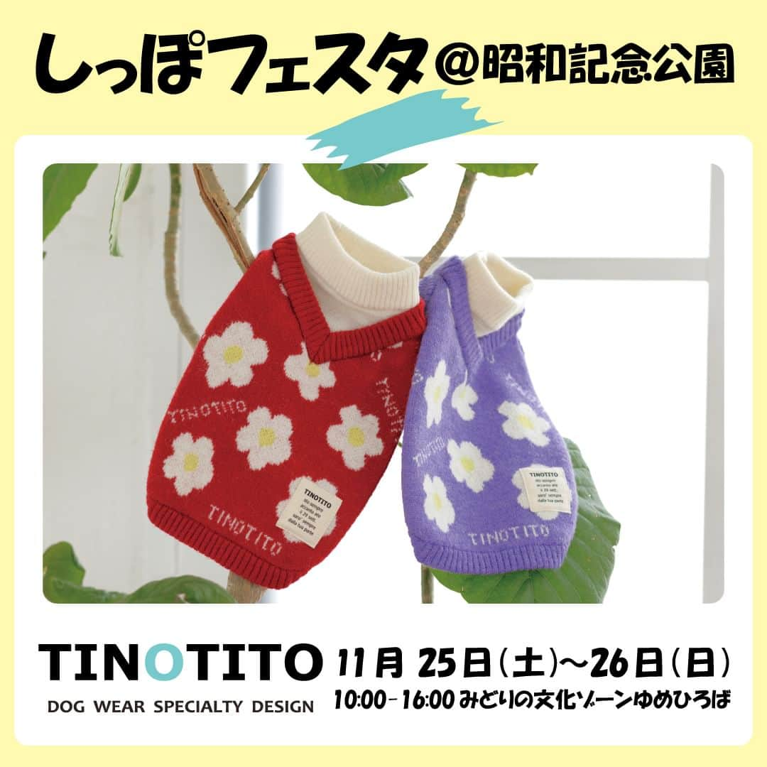 TINOTITO -ティノティート-さんのインスタグラム写真 - (TINOTITO -ティノティート-Instagram)「💖イベント出展情報💖  11月25日(土)～11月26日(日) 国営昭和記念公園で開催されます 『SippoFesta』に出展致します！  商品はイベント限定価格なので、とてもお得にご購入頂けます✨  ＊＊＊＊＊＊＊＊＊＊＊＊＊＊＊＊＊＊＊＊  ◆開催日時◆ 2023年 11月25日（土）～　26日（日） 10:00-16:00  ◆開催場所◆ 国営昭和記念公園 （みどりの文化ゾーンゆめひろば）  ＊＊＊＊＊＊＊＊＊＊＊＊＊＊＊＊＊＊＊＊  #tinotito #tinotito_shop #ティノティート #wanvoyage #wanvoyage_official #犬 #犬のいる暮らし #犬服 #新作 #犬好きな人と繋がりたい #犬ばか部 #犬ばか倶楽部 #シンプル #2023sscollection #犬の服 #강아지옷 #강아지옷쇼핑몰 #댕댕 #댕댕이 #댕댕옷 #댕댕이옷 #댕댕이옷맛집 #댕댕이옷쇼핑몰 #댕댕이옷쇼핑몰추천 #멍스타그램 #🐶  ＊＊＊＊＊＊＊＊＊＊＊＊＊＊＊＊＊＊＊＊」11月24日 12時03分 - tinotito_shop