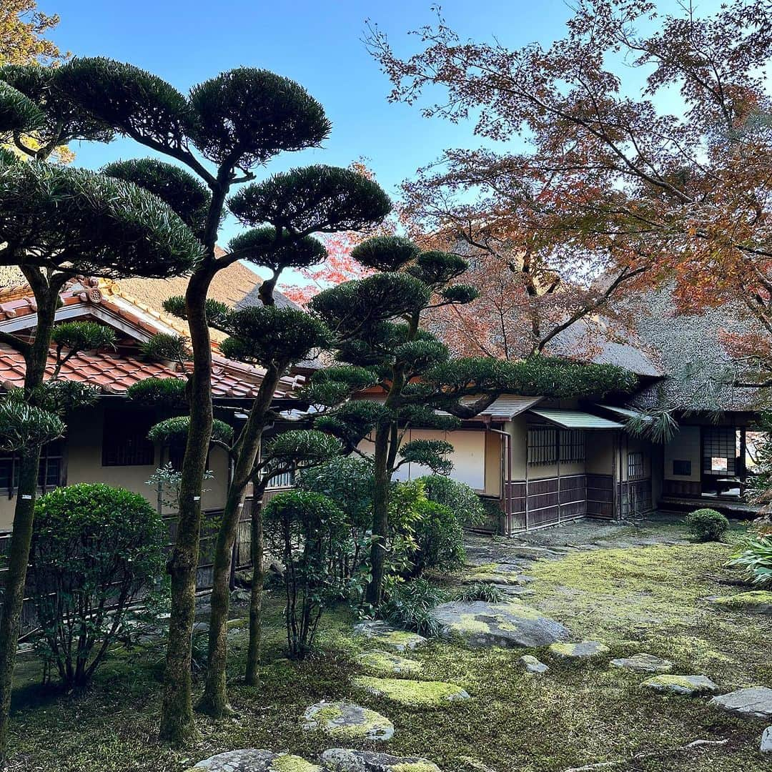 堀田祐美子さんのインスタグラム写真 - (堀田祐美子Instagram)「九年庵  毎年、春の新緑の時期と、紅葉の美しい時期の9日間だけ公開される庭園。9年の歳月をかけて庭園を築造したことにちなんで名前が付いているそうです。  風情がありとても綺麗でした。  @yumiko_hotta  @t_hearts2020  #堀田祐美子 #yumikohotta  #prowrestling  #プロレス #womansprowrestling  #女子プロレス  #hearts82 #thearts  #佐賀県 #神埼市 #九年庵」11月24日 12時07分 - yumiko_hotta