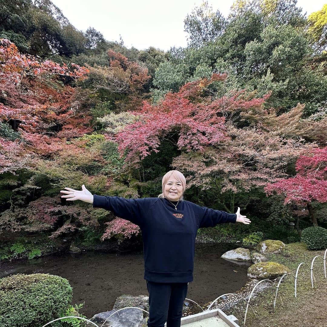 堀田祐美子さんのインスタグラム写真 - (堀田祐美子Instagram)「九年庵  毎年、春の新緑の時期と、紅葉の美しい時期の9日間だけ公開される庭園。9年の歳月をかけて庭園を築造したことにちなんで名前が付いているそうです。  風情がありとても綺麗でした。  @yumiko_hotta  @t_hearts2020  #堀田祐美子 #yumikohotta  #prowrestling  #プロレス #womansprowrestling  #女子プロレス  #hearts82 #thearts  #佐賀県 #神埼市 #九年庵」11月24日 12時07分 - yumiko_hotta