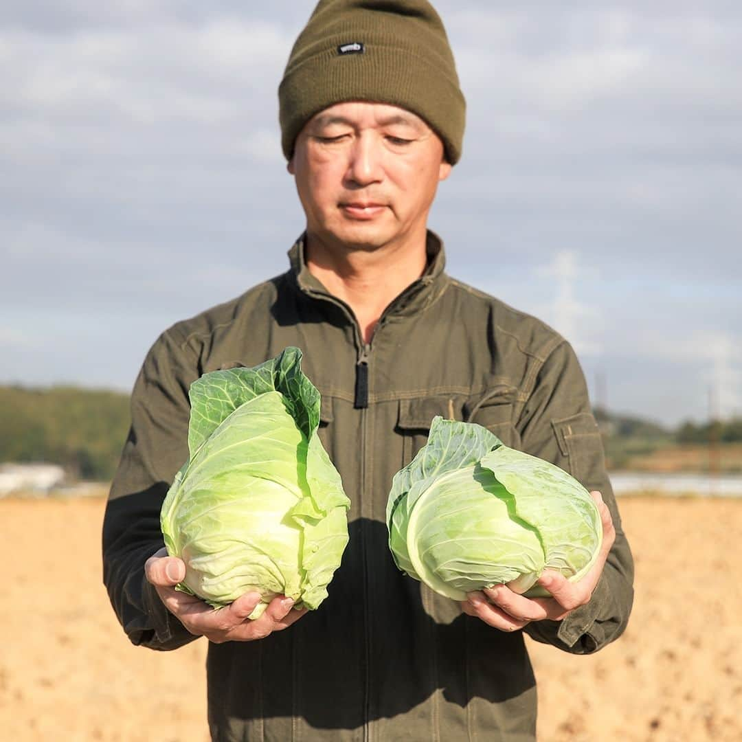 愛知県田原市さんのインスタグラム写真 - (愛知県田原市Instagram)「Meet the Phantom Cabbage ＊ 幻のキャベツ  #ペイズリーキャベツ 出荷が始まったよ〜1月いっぱいまで。 甘くてシャキシャキ！卵みたいな形をした、サラダ向けのキャベツだよ。（写真左）  #レシピ #簡単レシピ  ざく切りにして、ごま油と塩で和えて食べるのがおすすめ！ 芯も柔らかくて美味しいよ。  #たはら暮らし   #tahara #渥美半島 #田原市 #田原市グルメ #伊良湖岬 #伊良湖 #赤羽根 #菜の花浪漫街道  #tahara #irago #akabane #サーフィン #surfing #surfinglife #surfingstyle #田舎暮らし #休日の過ごし方 #スローライフ #instagramjaran #instagramjapan #igersjp」11月24日 12時12分 - tahara_kurashi