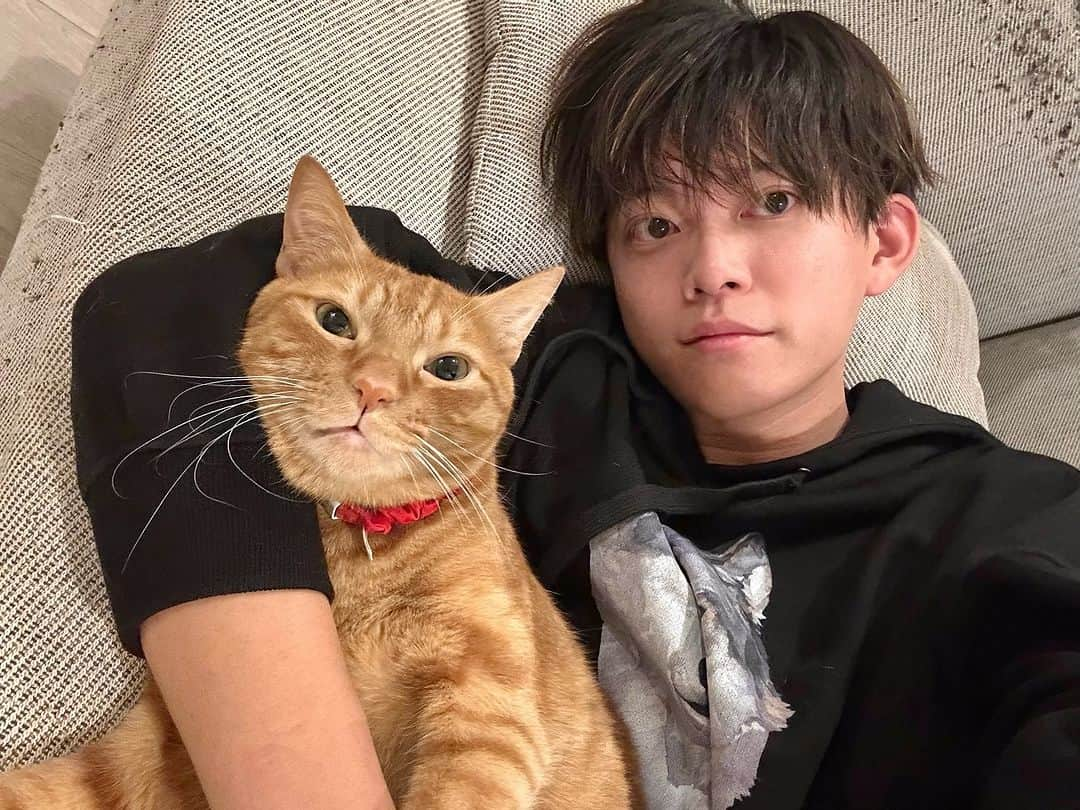 松丸亮吾のインスタグラム：「腕枕状態で写真撮ろうとしたらキリッとした顔された  #猫 #ねこ」