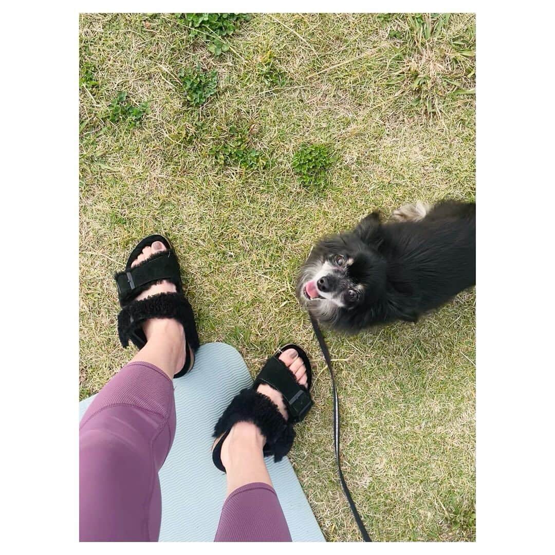 市橋有里さんのインスタグラム写真 - (市橋有里Instagram)「【ヨガと海風でととのう日】  昨日は楽しみにしていたアミ先生　@ami.amiyoga  の ヨガに参加してきました♪ 愛犬も初体験でみなに可愛がられて興奮気味w 嬉しそうでした♪  アミさんのヨガに癒され こんなにも近くで自然を感じられ 夕暮れのBBQ🍖も満喫できて🌇 あたたかい🫶最高の休日になりました✨  夕陽が素敵な O-garden https://www.o-garden.tokyo/gardengrill  みなさま、ありがとうございました。 そしてアミさん、イベント後でも疲れた顔もみせず こんなチャーミングな笑顔で お肉焼いたいただき、ありがとう🥹🙏 どこにそんなパワーがあるのだろうと 思いながら、明るく楽しいアミさん満喫dayでした💛  そしてパーソナリティをつとめさせて頂いている 市橋有里の“RUN 食健美”～ヘルシー Running～ 11/25（土）から2週にわたり各放送局で アミさんとのトークがオンエアされます。 身体をほぐすポイントや食のことなどもりだくさん 素敵な声に癒されて下さいね♪  栃木放送 （土）５：３０～５：３０  福井放送 （土）５：３０～5：４５ 信越放送 （日）５：１５～5：３０  山陰放送 （日）７：１５～７：３０ 四国放送 （月）19：30〜20：00  #amiyoga #休日の過ごし方 #yoga」11月24日 12時34分 - ariichihashi