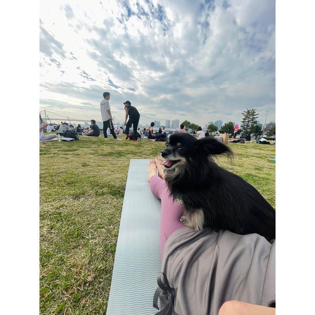 市橋有里さんのインスタグラム写真 - (市橋有里Instagram)「【ヨガと海風でととのう日】  昨日は楽しみにしていたアミ先生　@ami.amiyoga  の ヨガに参加してきました♪ 愛犬も初体験でみなに可愛がられて興奮気味w 嬉しそうでした♪  アミさんのヨガに癒され こんなにも近くで自然を感じられ 夕暮れのBBQ🍖も満喫できて🌇 あたたかい🫶最高の休日になりました✨  夕陽が素敵な O-garden https://www.o-garden.tokyo/gardengrill  みなさま、ありがとうございました。 そしてアミさん、イベント後でも疲れた顔もみせず こんなチャーミングな笑顔で お肉焼いたいただき、ありがとう🥹🙏 どこにそんなパワーがあるのだろうと 思いながら、明るく楽しいアミさん満喫dayでした💛  そしてパーソナリティをつとめさせて頂いている 市橋有里の“RUN 食健美”～ヘルシー Running～ 11/25（土）から2週にわたり各放送局で アミさんとのトークがオンエアされます。 身体をほぐすポイントや食のことなどもりだくさん 素敵な声に癒されて下さいね♪  栃木放送 （土）５：３０～５：３０  福井放送 （土）５：３０～5：４５ 信越放送 （日）５：１５～5：３０  山陰放送 （日）７：１５～７：３０ 四国放送 （月）19：30〜20：00  #amiyoga #休日の過ごし方 #yoga」11月24日 12時34分 - ariichihashi