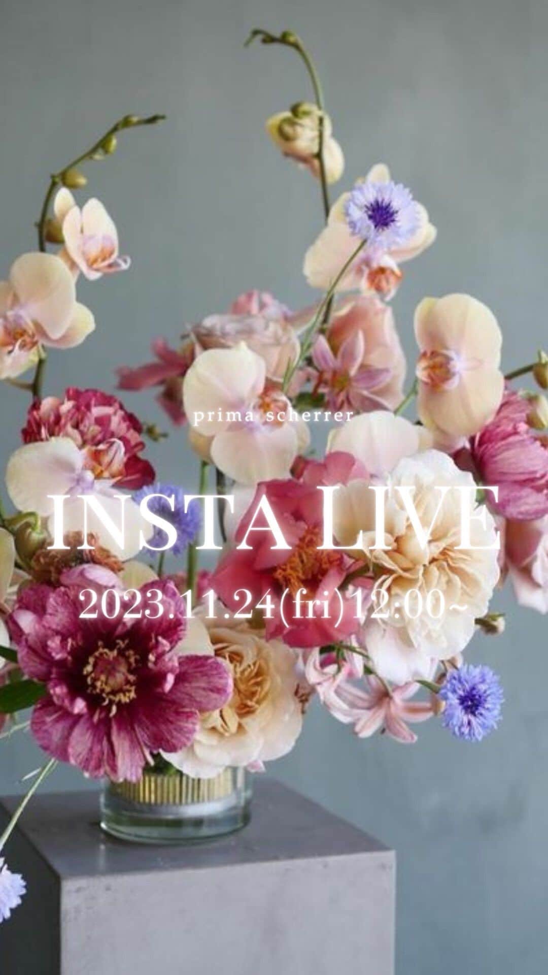 PrimaScherrerのインスタグラム：「大阪POPUP販売アイテムとホリデーコレクションのご紹介💕」
