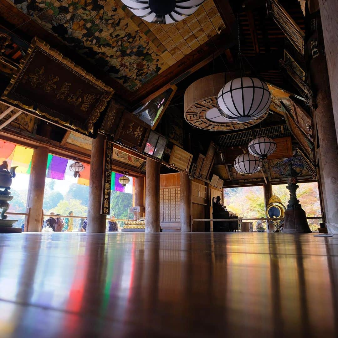 奈良 長谷寺 / nara hasederaのインスタグラム：「天気良し　#床もみじ   This place is specially kept clean as it is a place for praying.  #長谷寺 #奈良長谷寺 #総本山長谷寺 #真言宗豊山派 #花の御寺 #奈良 #hasedera #hasederatemple #temple #japan #japanesetraditional #pilgrimage #nara #tourism #sightseeing #japanesetemple #西国三十三所 #霊場 #巡礼 #四寺巡礼 #長谷寺が好き #日本遺産 #観音さんさんサイコク巡礼 #千年巡礼」