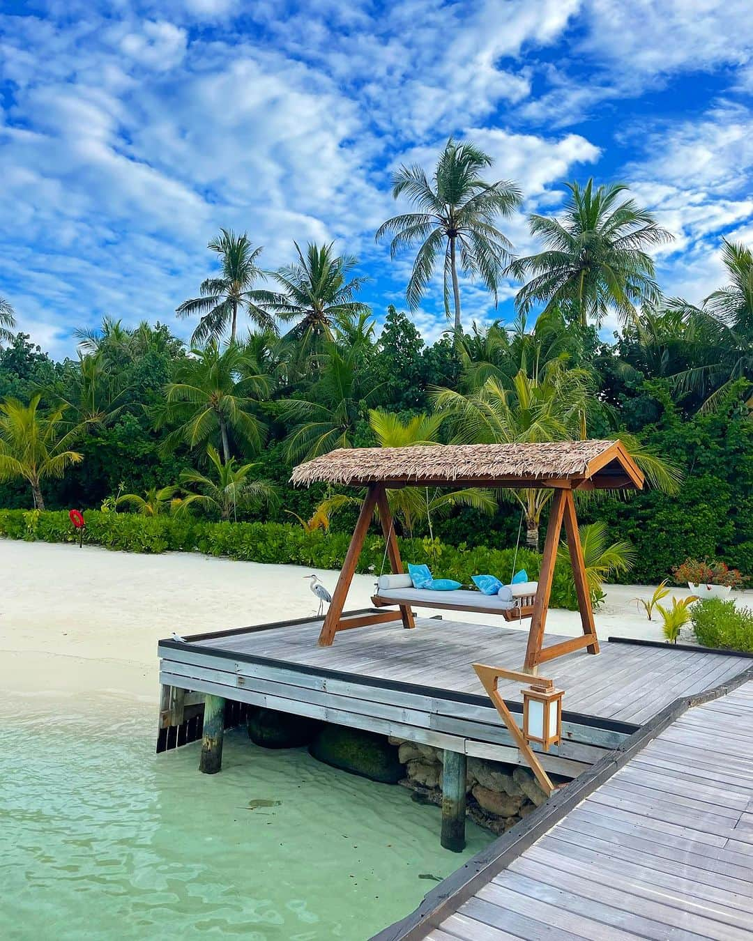 レイチェル・ブレイセンさんのインスタグラム写真 - (レイチェル・ブレイセンInstagram)「looking through our vacation photos and it’s already starting to feel like a dream. did we really live in a villa on the water? that had a water slide on the roof?? I mean!   but what I miss the most… the food. the foooood! I think I’m going to have to do a post of just the food we ate. looking through my photos now and my mouth is actually watering.   (my brother did come over to cook me his famous banana eggs for lunch today though so no complaints here)😌☺️   do you have any questions about our trip?? ask them here and I’ll answer in the comments!🩵 #maldives」11月24日 5時03分 - yoga_girl