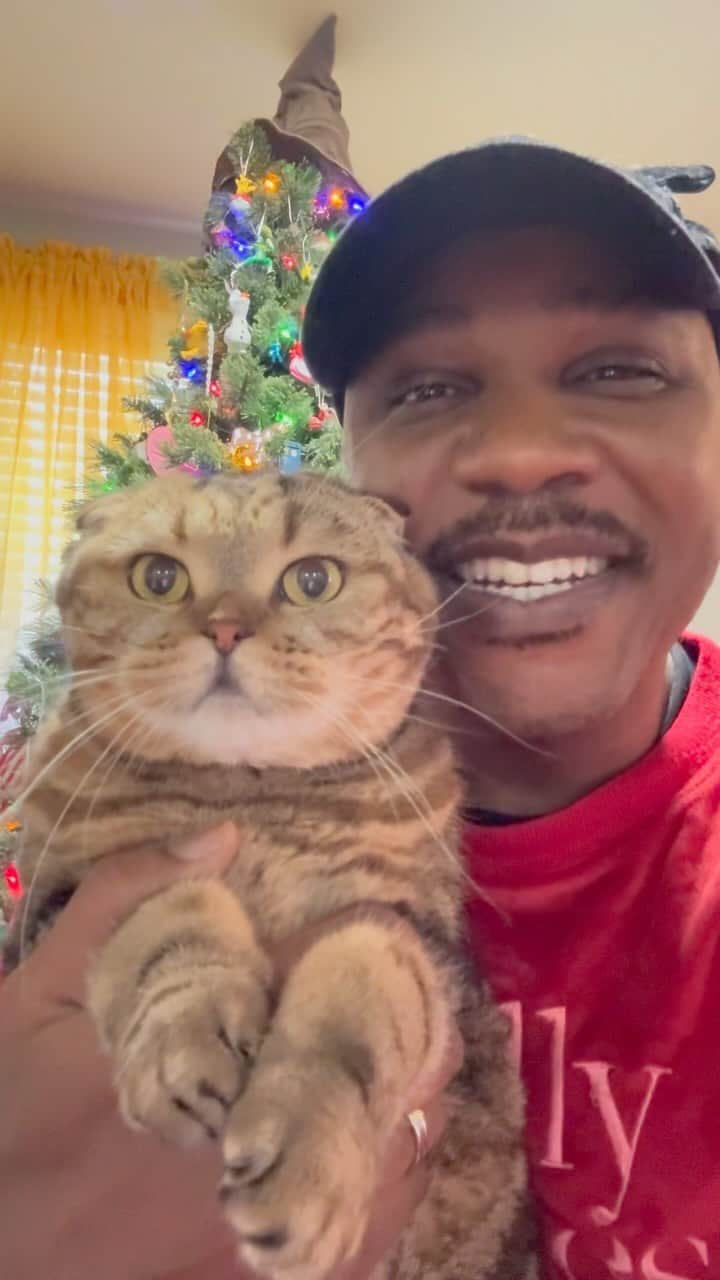 MSHO™(The Cat Rapper) のインスタグラム：「Happy Thanksgiving everyone! We LOVE YOU! Even if you don’t feel the same about us! We just want everyone to know that THEY MATTER and YOU’RE SPECIAL!!!! Today is a day to spend with family and friends but today is also A BIG DAY WHERE PEOPLE FEEL ALL ALONE!! We just want you to know YOU AREN’T ALONE! YOU HAVE US!! So stay positive and remember YOU’re LOVED!!! Happy Thanksgiving and thanks for LOVING YOURSELF AND YOUR CATS!!!!! 😺❤️🌎 #ThanksGiving #HappyThanksgiving #HappyHolidays #LilParmesan #TheCatRapper #CatMan #CatMom #CatDad #CatLady #MoGang」