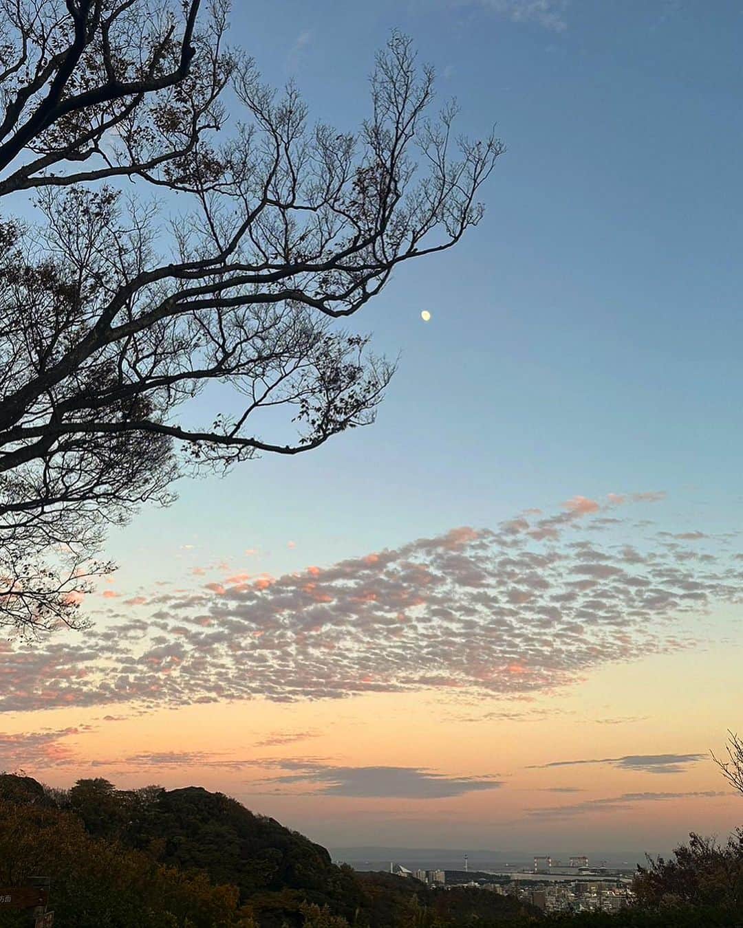 川島幸美さんのインスタグラム写真 - (川島幸美Instagram)「空がグラデーションになる この時間が好き🌙 お日様のようにカラッと明るく お月様のように静かに光輝やくような人でありたい...」11月24日 5時37分 - yukimikawashima