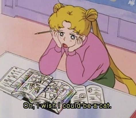 Sailor Moonのインスタグラム：「✨🌙 Somedays I feel like this! 🌙✨  #sailormoon #セーラームーン」