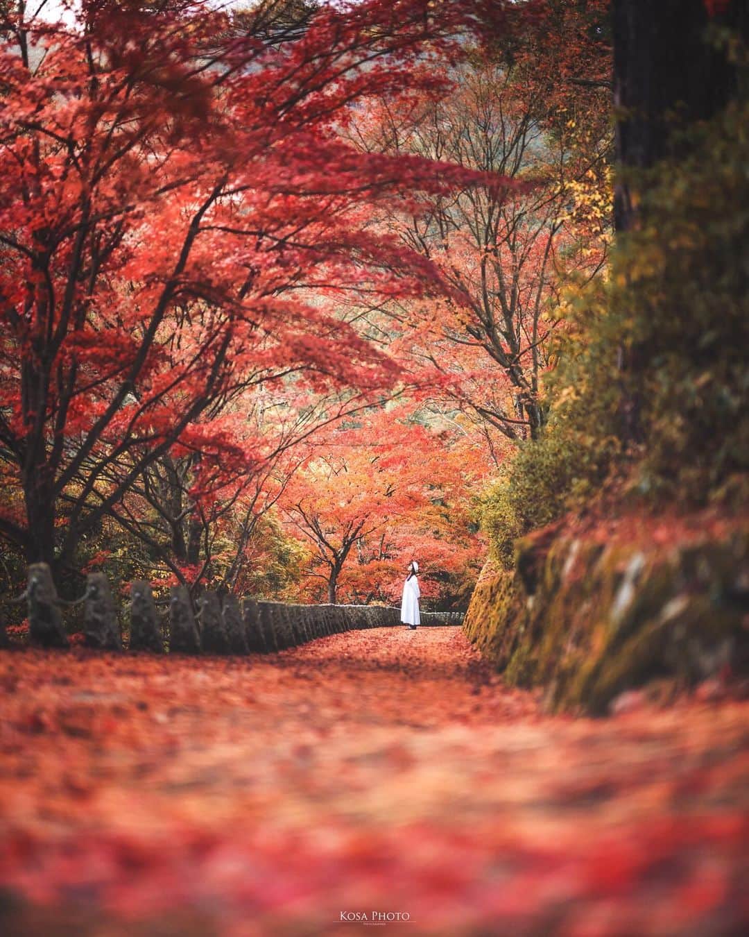 コサのインスタグラム：「カメラマンがいっぱいだと思ってたら、誰ひとりいなかった🤣 まぁ　天気悪かったしね☔️ . Location:奈良 Nara /Japan🇯🇵 Date:2023年11月 in frame: @____muuu._ Camera:Z9 / Z 50mm f1.2 . #みんすと紅葉祭 #高城山展望台 #nikoncreators #nikoncreators_2023morningandnight #japancityblues #jp_portrait_collection #ポトレファン倶楽部 #ポトレ撮影隊 #jp_mood #jp_portrait部 #clv_galerie #mf_landscape #invisible_cool_part #Rox_Captures #colore_de_saison #bestjapanpics #m_v_shotz #nipponpic_member #japan_bestpic_ #raw_japan #deaf_b_j_ #tokyocameraclub #art_of_japan_ #jgrv_member #team_jp_ #photo_jpn #sorakataphoto #LBJ_KING #mst_vip #special_spot_legend」