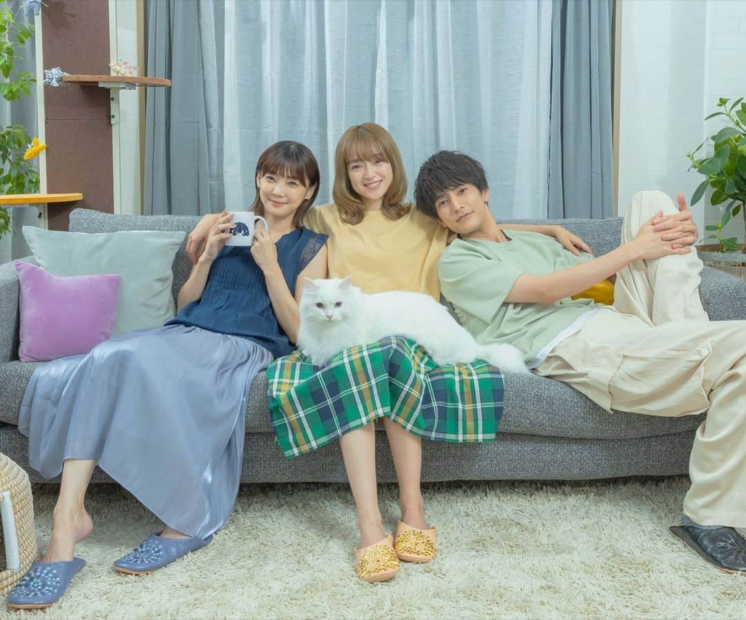 安達祐実のインスタグラム：「💙💛💚 映画「#三日月とネコ」 主人公の戸馳灯を演じます！ とびきり可愛いネコ達と、迷える3人の共同生活。 果たして3人は何を見つけて何と向き合って何処へ向かうのか。 2024年5月、劇場でお待ちしてます♪」