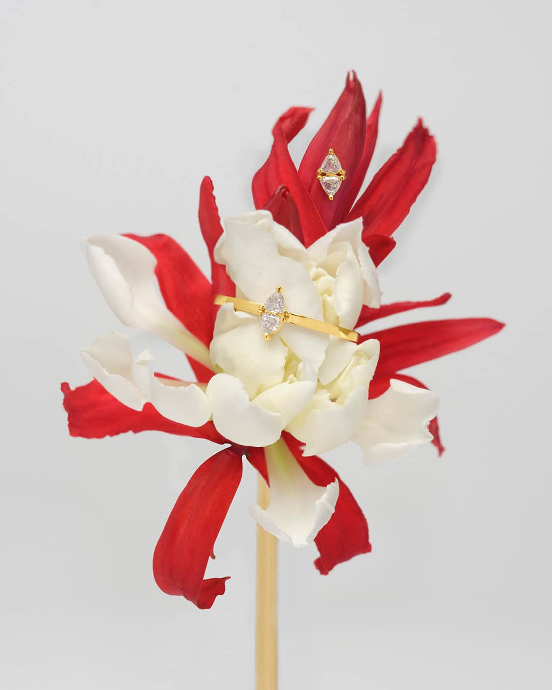 のインスタグラム：「. AHKAH signature × CEREUS NIGHTS  　 ロンドンを拠点に活動するCEREUS NIGHTS FLOWER STUDIO（@cereusnights）とのコラボレーション。 　 花びらとジュエリーが織り成す洗練されたモダニティは、クールな美しさと優雅さが共存。 魅惑的な煌めきがホリデーシーズンを彩ります。 　 #AHKAH #AHKAHsignature #アーカー #アーカーシグネチャー」