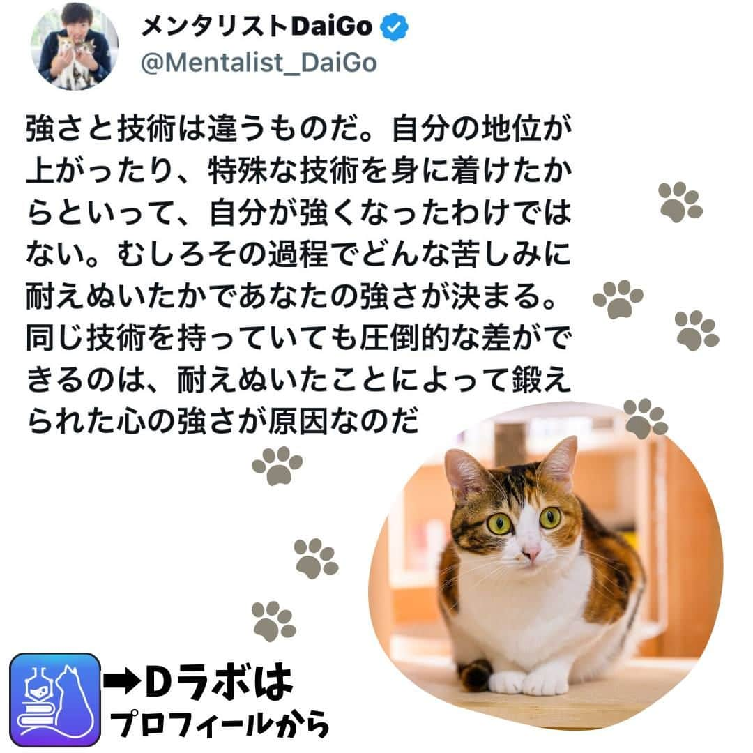 メンタリストDaiGoさんのインスタグラム写真 - (メンタリストDaiGoInstagram)「🐈本日の名言📚 プロフィールからDラボもみてね  #心理学 #メンタリスト #dラボ  #dラボはプロフィールから」11月24日 8時00分 - mentalistdaigo