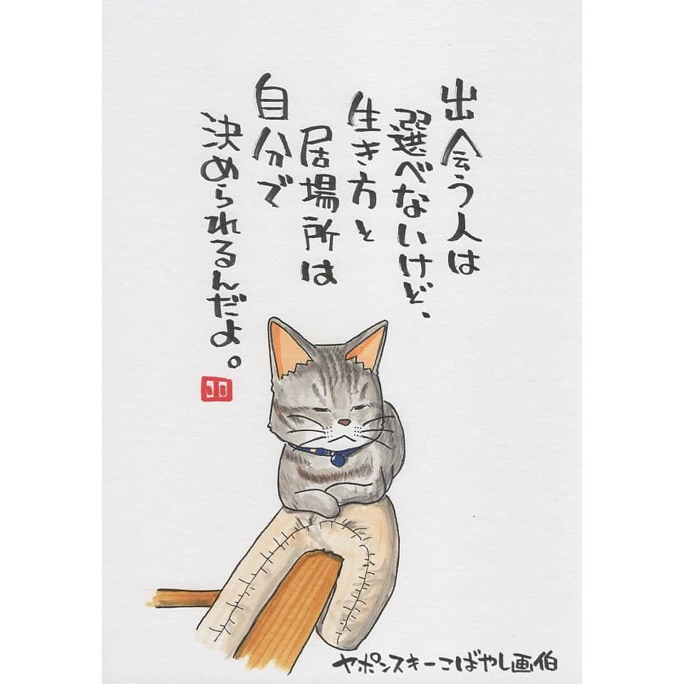 ヤポンスキーこばやし画伯のインスタグラム：「けもの日和 今日はtoookaさん家の猫 ぷーちゃんです。 なんとtoookaさん 4回目の当選ですって。 本当にガチでくじ引きで決めているので 偏るのは仕方ない事ではあるんですが これは当たり過ぎですね… 申し訳ない。 ただ、今後もガチでやっていきますので お待ちの方々 気長にお待ちください。  イラスト #ポエム  #イラストエッセイ #エッセイ #ヤポンスキー #ヤポンスキーこばやし画伯 #こばやし画伯 #芸人 #絵 #ポストカード #詩 #アート #言葉 #言葉の力 #人生 #生き方 #イラストグラム #イラストレーター #つぶやき #可愛い #前向き #ポジティブ #癒し #名言 #格言 #けもの日和」