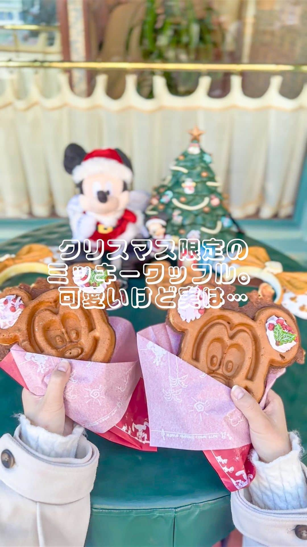 Kahoのインスタグラム：「衝撃の事実…？😂🤣  #disneyland #tokyodisneyresort #tdr #tdl #instadisney#disneyparks #disneyfan #disneyphoto #disneypic #disneyblogger #tokyodisneyland #disney#tokyodisneyland#disneyphotography #disneylandtokyo #disneylandjapan #disneychristmas2023#disneychristmas  #東京ディズニーリゾート #東京ディズニーランド #ディズニー#ディズニーチケット#ディズニークリスマス #クリスマス#ディズニークリスマス2023 #クリスマスディズニー#クリスマスディズニーフード#ワッフルカンパニー #ディズニーグッズ情報 #ディズニーグッズ#ミッキーワッフル」