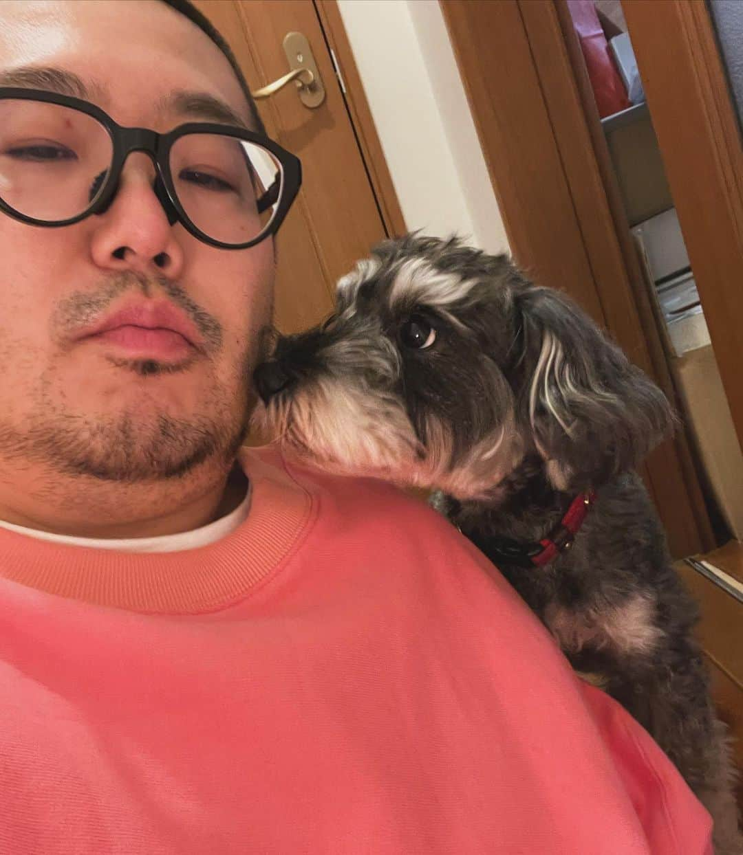 三浦崇宏さんのインスタグラム写真 - (三浦崇宏Instagram)「#dog #dogstagram  #family  #犬 #愛犬  #instagood  #インスタグラムといえば愛犬との写真と聞いて」11月24日 9時12分 - takahiro3ura