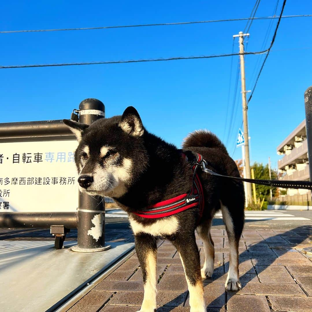 小川博永のインスタグラム