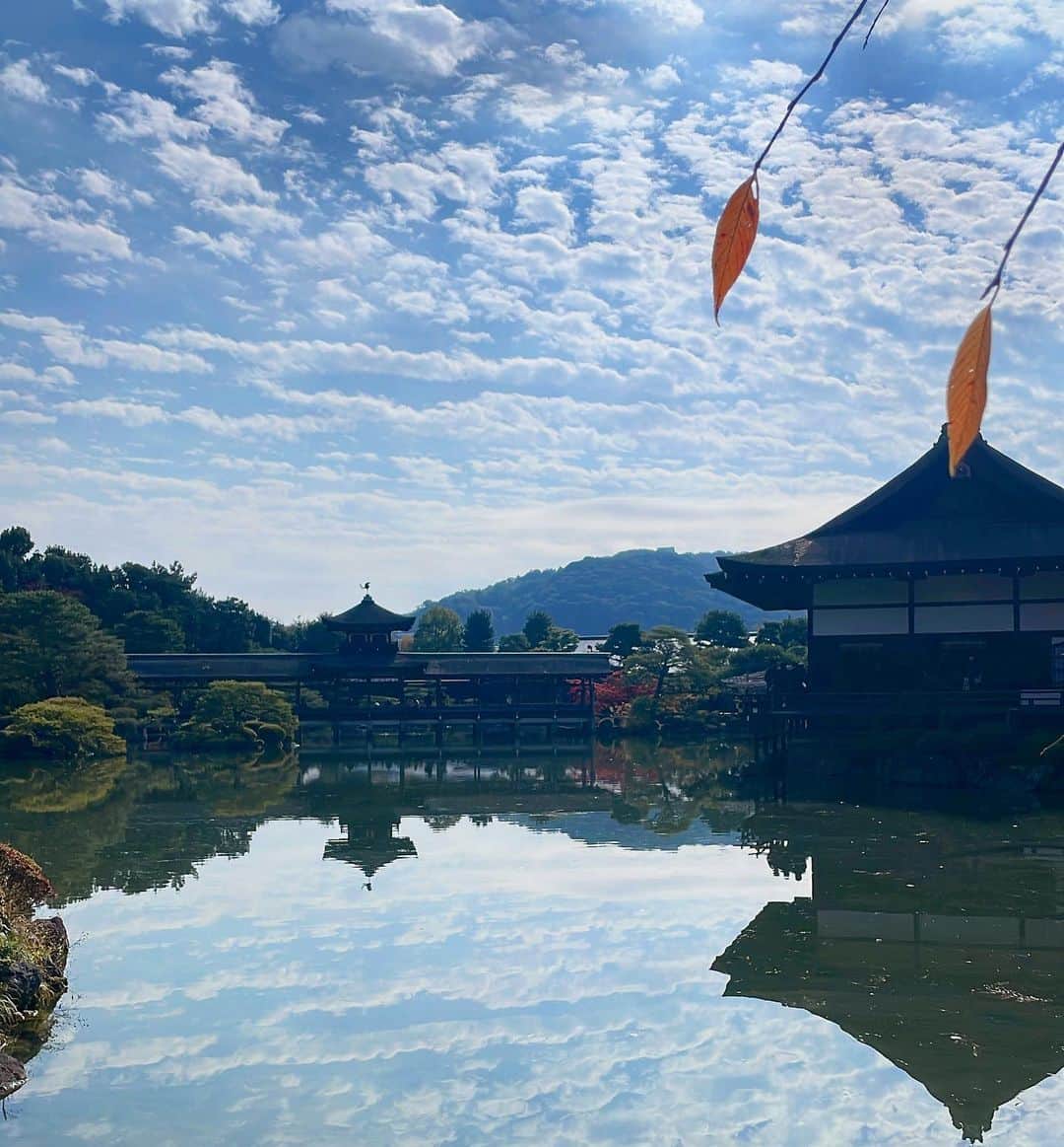 田中美里のインスタグラム：「・ ・ 舞台「たわごと」  京都公演が終わりました！ たくさんのお客様に観ていただけて嬉しかったです。  舞台前は共演者のイズちゃんと近くの平安神宮 までお散歩して紅葉の京都を満喫。 空も美しくて気持ち良かった〜。  次は岡山でお待ちしています。  岡山といえば「あぐり」です。 私が初めてロケで訪れた場所。  他にも、映画「家族の日」でも高梁市に撮影できたなぁ。 大好きな場所。  是非、観に来てくださいね。  ⚪︎岡山公演  岡山芸術創造劇場ハレノワ中劇場 11月26日（日）  ⚪︎東京公演 東京芸術劇場シアターイースト 12月8日から17日まで  #たわごと  #渋川清彦  #田中美里 #谷恭輔  #松岡依都美  #松金よね子 #渡辺いっけい #演出 #桑原裕子  #穂の国とよはし芸術劇場plat主ホール  #東京芸術劇場シアターイースト #ロームシアター京都サウスホール  #岡山芸術創造劇場ハレノワ中劇場  #平安神宮 #京都」