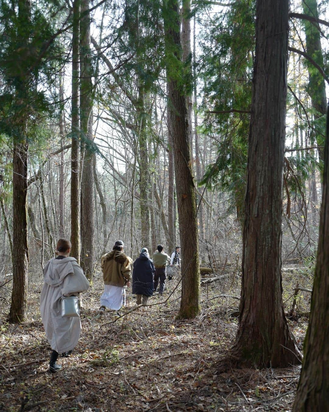 行方 久子 Hisako Namekataのインスタグラム：「. 翌日は、森へ。 @herbstand のゆうたくんのご案内で 森案内&クロモジ収穫という浄化時間。  身の回りのもの全てにもっと関心を持ったら、 ワクワクしすぎて眠るのがもったいなくなるね。」