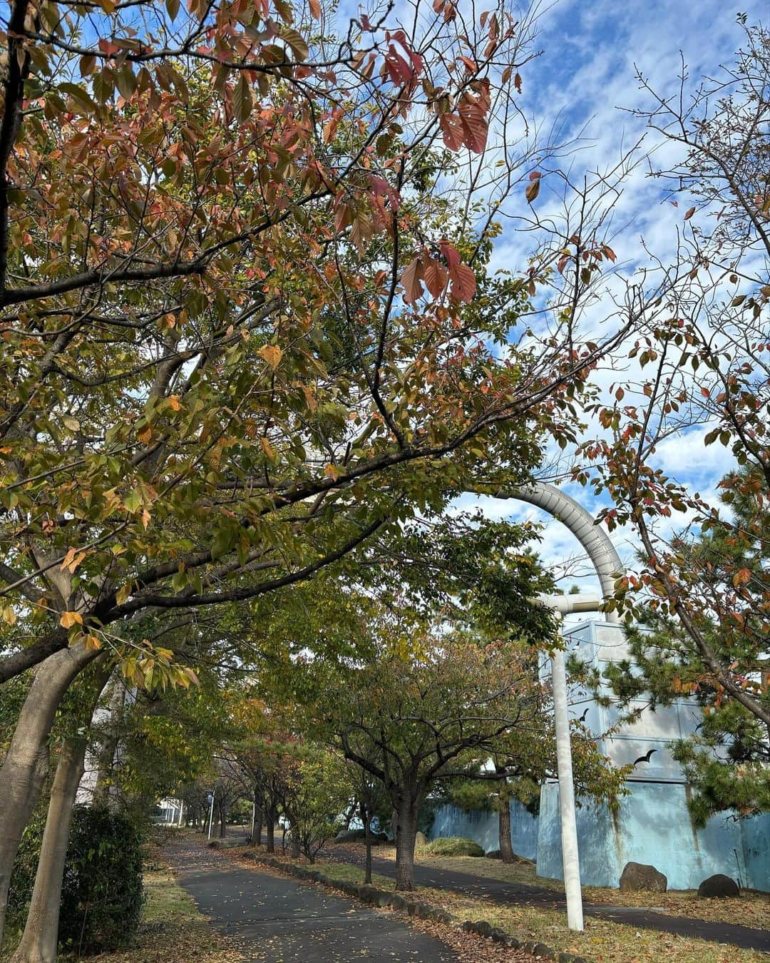 根本美緒のインスタグラム：「暖かいですね、って東京は！です☝️ (写真はポカポカの東京湾岸散歩道) 日本海側の皆さんはこの後気温下がっていく一方！ 札幌6℃の最高気温ですが、もうそれ朝の気温でここからどんどん下がります。かつ☃️で西風も強く猛吹雪❗️北陸から北の日本海側や長野の皆様くれぐれも雪に注意とめちゃくちゃ暖かくしてお過ごし下さい✨  東京23℃  那覇24℃ 名古屋仙台17℃ 大阪18℃ 福岡13℃ 札幌6℃  で！！油断できないのは東京も今夜は北風強く一気に気温ダウン。明日日中は10℃くらい今日より低い気温に‼️季節2ヶ月くらい一気に飛ぶ感じなので寒暖差に気をつけて過ごしましょう。 #ネモ天 #天気予報 #気象予報士   一方、不味すぎてる大腸検査の薬2リットルをやっと飲み終わった自分ヽ(￣д￣)ノ🍋風味なんだけどしょっぱい…みたいな？笑 辛すぎた。。昨日の夜中から。。 #大腸内視鏡検査」