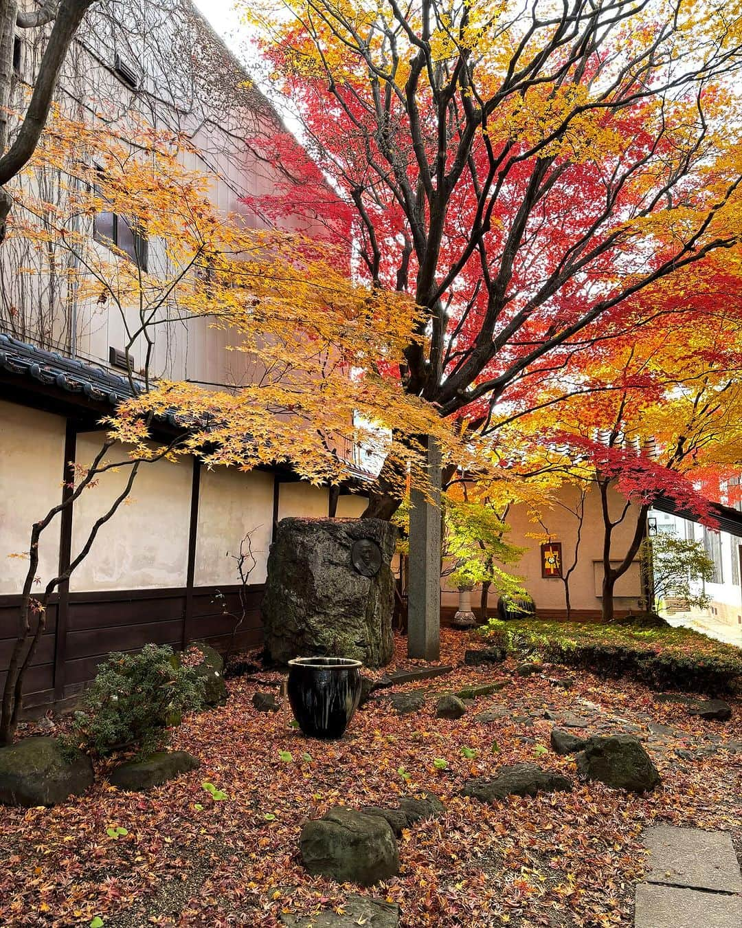 猫沢エミのインスタグラム：「大正13年（1924年）宮澤賢治、生前唯一の童話集『注文の多い料理店』を刊行した光原社（社名決定には賢治も関わっている）。今では誰もが知る名作は、出版当時まったくといっていいほど売れなかった。　  時代を先取りする文学にしろ、絵画にしろ、作家の生前には報われないことが多い……というのは、世のすべてのクリエイターに幾許かの希望を与えるように思うのは私だけか。  光原社はその後、柳宗悦や棟方志功らとの出逢いを経て、民藝運動を広げる役割を担い、現在に至る。  ヨーロッパと日本が融合する、どこか懐かしい佇まいの光原社は、中庭を囲むように幾つかの館で構成されていて、宮澤賢治直筆の原稿や、貴重な資料が観られる博物館もある（館内は写真撮影禁止のため、残念ながらお見せできないのだけど）。  本館2F にある民藝クローズを中心としたお店は、私の食指が動かされまくりなセレクションで、うっかり散財……をグッと堪える（盗難、歯がもげるなど、今回は贅沢できませぬ😅）。  鮮やかな紅葉🍁の庭に佇めば、ありし日の宮澤賢治の呟きが聞こえてきそう。  雨ニモマケズ  風ニモマケズ  次はもっとゆっくり、こちらのカフェで時間を過ごしたいな。  #盛岡デイズ　#東京下町時間」