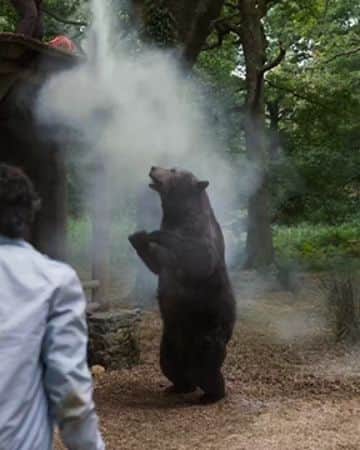 中村松江さんのインスタグラム写真 - (中村松江Instagram)「10月に鑑賞した「コカイン・ベア(原題 Cocaine Bear 2023年)」を紹介します。 1985年に実際に起きた事件に着想を得た作品です。 麻薬組織の運び屋がセスナ機に積んだ大量のコカインをジョージア州の森に投下し、自身は誤って落下して死亡、そのコカインを熊が食べて凶暴化。 運び屋が死んでしまったためにコカインの回収をせざるを得なくなった麻薬組織の面々、森に迷い込んだ少女と少年、行方不明になった少女を探しに来た母親、レンジャー隊員、麻薬組織を追ってきた警察たちが森で入り乱れて、その凶暴化した熊に襲われるお話。 私が大好きな動物パニックもので、なかなかのゴア描写ながらユーモラスな味わいの作品でした。 出演は少女の母親にケリー・ラッセル、コカインを回収にやって来た組織の人間にオールデン・エアエンライクとオシェア・ジャクソン・Jr、麻薬組織のボスに2022年に急逝したレイ・リオッタです。 監督は2019年版の「チャーリーズ・エンジェル」のエリザベス・バンクス。 沢山の登場人物を上手に処理してセンスがよくとても面白い、熊パニック映画としては超優秀な作品でした。 しかしやっぱり私が大好きな熊映画ナンバーワンは、まんま「ジョーズ」の鮫を熊に置き換えた低予算で安っぽい作りの1976年の「グリズリー」ですね。 #歌舞伎 #中村松江 #コカインベア #cocainebear #ケリーラッセル #kerirussell #レイリオッタ #rayliotta #エリザベスバンクス #elizabethbanks」11月24日 10時22分 - matsue_nakamuraofficial