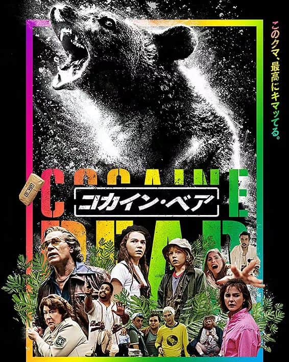 のインスタグラム：「10月に鑑賞した「コカイン・ベア(原題 Cocaine Bear 2023年)」を紹介します。 1985年に実際に起きた事件に着想を得た作品です。 麻薬組織の運び屋がセスナ機に積んだ大量のコカインをジョージア州の森に投下し、自身は誤って落下して死亡、そのコカインを熊が食べて凶暴化。 運び屋が死んでしまったためにコカインの回収をせざるを得なくなった麻薬組織の面々、森に迷い込んだ少女と少年、行方不明になった少女を探しに来た母親、レンジャー隊員、麻薬組織を追ってきた警察たちが森で入り乱れて、その凶暴化した熊に襲われるお話。 私が大好きな動物パニックもので、なかなかのゴア描写ながらユーモラスな味わいの作品でした。 出演は少女の母親にケリー・ラッセル、コカインを回収にやって来た組織の人間にオールデン・エアエンライクとオシェア・ジャクソン・Jr、麻薬組織のボスに2022年に急逝したレイ・リオッタです。 監督は2019年版の「チャーリーズ・エンジェル」のエリザベス・バンクス。 沢山の登場人物を上手に処理してセンスがよくとても面白い、熊パニック映画としては超優秀な作品でした。 しかしやっぱり私が大好きな熊映画ナンバーワンは、まんま「ジョーズ」の鮫を熊に置き換えた低予算で安っぽい作りの1976年の「グリズリー」ですね。 #歌舞伎 #中村松江 #コカインベア #cocainebear #ケリーラッセル #kerirussell #レイリオッタ #rayliotta #エリザベスバンクス #elizabethbanks」