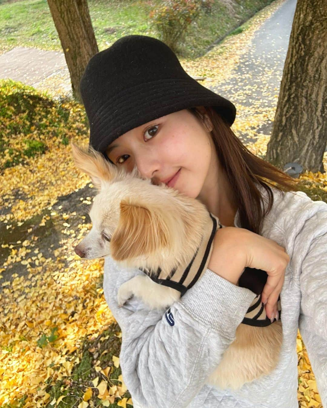 津田萌夏のインスタグラム：「. 実家帰る途中に見つけたイチョウの木の下で🐶💛  ミルは遠くに見えてる人が気になってカメラ見てくれませんでした笑 ミルですっぴん必死に隠す😶‍🌫️  ほんで自分の手の形が変すぎて気になる  . . . . #イチョウの木 #わんことお出かけ」