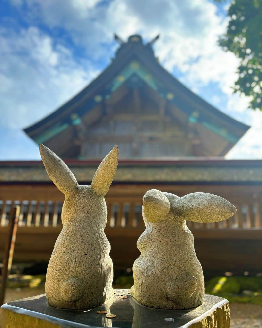 近藤夏子さんのインスタグラム写真 - (近藤夏子Instagram)「神迎えをした出雲大社⛩️✨ 全国の神様が島根の出雲大社に集まるこの時。 昨年に続き今年もこのタイミングで参拝できた喜び💗 ふいに虹がかかったり、太陽がキラーンってなったり、なんかわかんないけどニコニコしちゃうよね☺️💕  神様が無事それぞれの都道府県にお帰りになれますように🙏 しばらく島根でごゆっくりしてください⛳️w  #神在月 #出雲大社 #観光大使 #遣島使 #近藤夏子の島根っここ行きんさい」11月24日 10時31分 - kondonatsuko