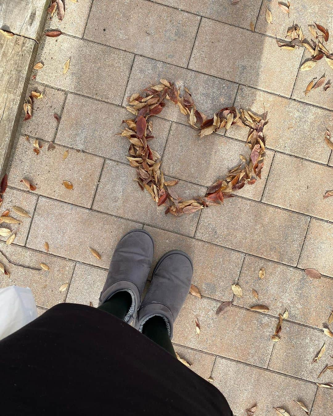 ドーキンズ英里奈さんのインスタグラム写真 - (ドーキンズ英里奈Instagram)「昨日はポカポカでしたね☺️  祝日で飛行機がとれなくて 満席&高額！！笑  東京でしばし過ごしていたので 11月にリニューアルオープンした 馬事公苑に行ってみました🐎 とっても綺麗でびっくり！  葉っぱも色づいて、紅葉も楽しめるし 気持ちよかった〜🍁  今週末はまた冷えるので 冷え対策をしっかりせねば…！ ブラックフライデーセールで 買いたいものがたくさん🫣  #馬事公苑 #お散歩 #gu #紅葉」11月24日 10時34分 - erinadawkins