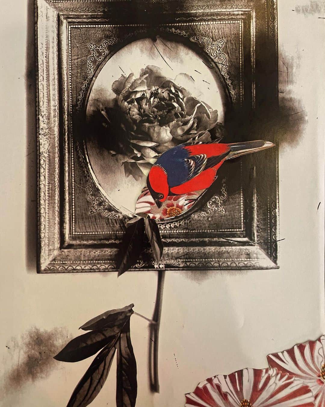 のインスタグラム：「Flower and bird  #collage #collageart #bird #Flower #Rose #RED #ukiyoe」