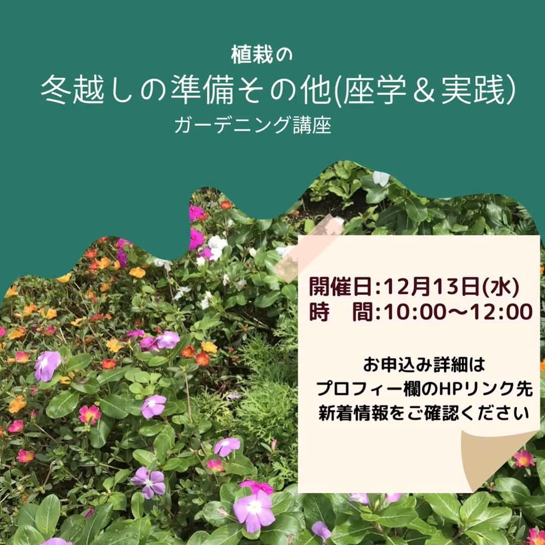 道の駅やちよのインスタグラム：「本日より「ガーデニング講座」予約受付開始しています！ 皆様のご予約お待ちしています✨  #お出かけ #道の駅 #道の駅やちよ #道の駅めぐり #地産地消 #農産物直売所 #新鮮野菜 #野菜好き #野菜たっぷり #買い物 #八千代市 #ガーデニング講座 #休憩 #やちよ農業交流センター」