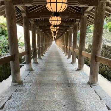 奈良 長谷寺 / nara hasederaさんのインスタグラム写真 - (奈良 長谷寺 / nara hasederaInstagram)「色付き進み、黄から赤へ #玉鬘の大銀杏 #源氏物語 の玉鬘にちなみ名付けられた  The leaves are changing color. yellow to red. @hase_dera Temple is the setting for Chapter 22 of The “Tale of Genji“,written in the 10th century.  #長谷寺 #奈良長谷寺 #総本山長谷寺 #真言宗豊山派 #花の御寺 #奈良 #hasedera #hasederatemple #temple #japan #japanesetraditional #pilgrimage #nara #tourism #sightseeing #japanesetemple #西国三十三所 #霊場 #巡礼 #四寺巡礼 #長谷寺が好き #日本遺産 #観音さんさんサイコク巡礼 #千年巡礼」11月22日 12時18分 - hase_dera