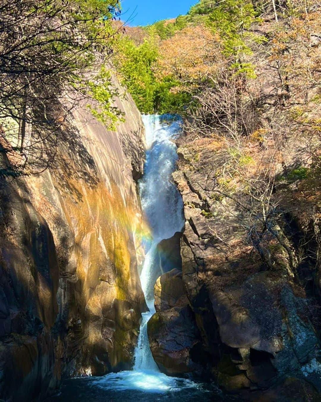SHUUBIさんのインスタグラム写真 - (SHUUBIInstagram)「友達に会いに山梨県へ！！！ @chihomichihomi  千宝美ちゃんありがとう！！！  20代の頃からのシンガーソングライター仲間。 昔は偶然にも同じ駅に住んでいたりしていろんな話をしたなぁ。 音楽の話、仕事の苦労話、恋の話。。🫣 そんな彼女が山梨県に住んでから、まだ一度も行けてなかった。やっと！！！ 千宝美ちゃんのラジオ番組に呼んでもらったりしたのは2年前。。それ以来！？連絡はちょこちょことって話はしているたけど、、、やっぱり会えると嬉しいな。  千宝美ちゃんが案内してくれたのが 初の #昇仙峡　美しすぎる紅葉🍁全身に吸い込んだ空気はピンとしてとっても良い香りがしました。 もう夢のように美しくて最高！ 滝には虹がかかってた。 富士山は言うことなしに圧倒的でした。  写真は撮ったり撮られたり😆楽しい。 （わたしは彼女の撮る写真のファンなのです）  今回の旅行、一度の投稿では収まらないので 次回に続きます🤭😆  #最高のリフレッシュ　#友達 #ありがとう #紅葉  #甲府 #紅葉 #ドライブ #散策 #紅葉シーズン #紅葉デート #散策 #富士山 #昇仙峡ロープウェイ #シンガーソングライター #ピアノ弾き語り #千宝美 #shuubi」11月24日 10時52分 - shuubihidemi