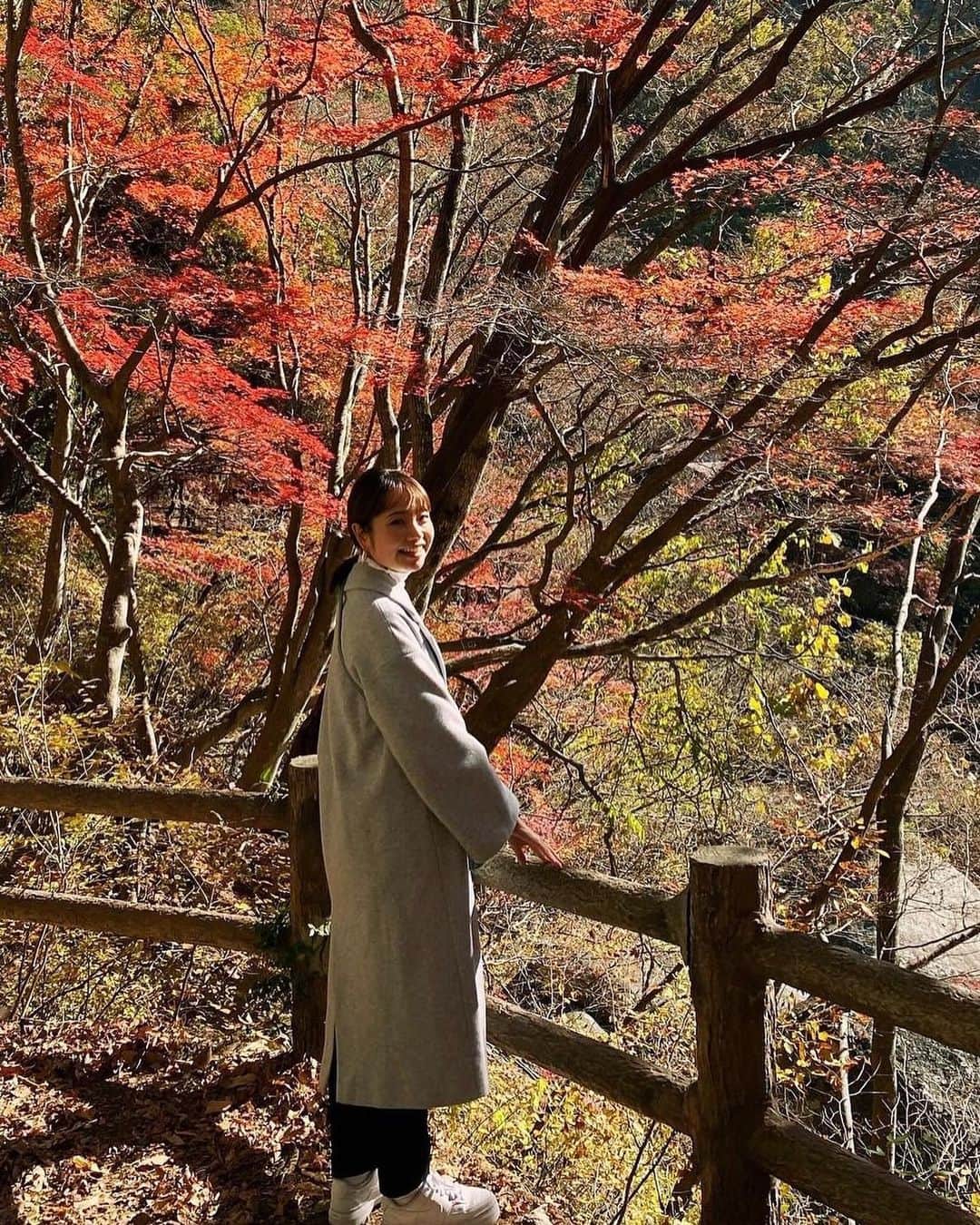 SHUUBIさんのインスタグラム写真 - (SHUUBIInstagram)「友達に会いに山梨県へ！！！ @chihomichihomi  千宝美ちゃんありがとう！！！  20代の頃からのシンガーソングライター仲間。 昔は偶然にも同じ駅に住んでいたりしていろんな話をしたなぁ。 音楽の話、仕事の苦労話、恋の話。。🫣 そんな彼女が山梨県に住んでから、まだ一度も行けてなかった。やっと！！！ 千宝美ちゃんのラジオ番組に呼んでもらったりしたのは2年前。。それ以来！？連絡はちょこちょことって話はしているたけど、、、やっぱり会えると嬉しいな。  千宝美ちゃんが案内してくれたのが 初の #昇仙峡　美しすぎる紅葉🍁全身に吸い込んだ空気はピンとしてとっても良い香りがしました。 もう夢のように美しくて最高！ 滝には虹がかかってた。 富士山は言うことなしに圧倒的でした。  写真は撮ったり撮られたり😆楽しい。 （わたしは彼女の撮る写真のファンなのです）  今回の旅行、一度の投稿では収まらないので 次回に続きます🤭😆  #最高のリフレッシュ　#友達 #ありがとう #紅葉  #甲府 #紅葉 #ドライブ #散策 #紅葉シーズン #紅葉デート #散策 #富士山 #昇仙峡ロープウェイ #シンガーソングライター #ピアノ弾き語り #千宝美 #shuubi」11月24日 10時52分 - shuubihidemi