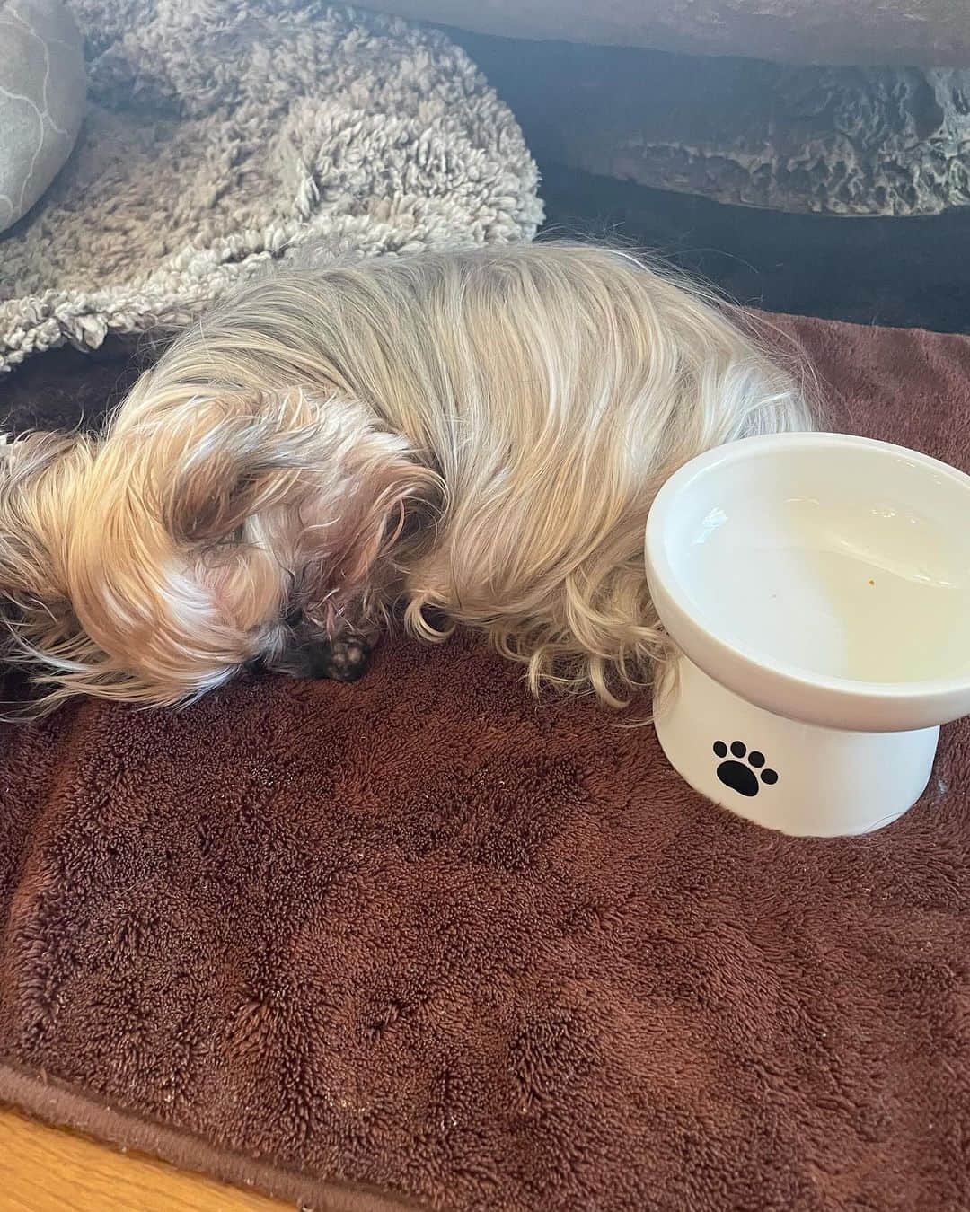 飯島直子さんのインスタグラム写真 - (飯島直子Instagram)「こんにちは^ - ^♪  今朝も暖かいです  ちょっと厚着が過ぎたかもしれません  なかなか服装がむずかしいです^ - ^  今日がブラックフライデーなんですね  ブラックフライデーってなんやねん  わかりません^_^  22.23日のへんじすこしです＾＾  abynao2655結婚3周年おめでとう♪ 夫婦でコロナに…大変だ（ ; ; ） 色んな症状出るからね…良くなる！信じてがんばろうᕦ(ò_óˇ)ᕤ回復したらお祝いしてね（ ; ; ）早く良くなりますように…  ki_imi結婚記念日おめでとう♪毎年なにもなく…でもちゃんと覚えてるんだね^ - ^ 節目の時にお祝いしよう♪健康に気をつけいつまでも仲良くお幸せにね♪  yoshigyuuuu結婚記念日おめでとう♪ ウォーキングコースで堪能♪健康的^_^ カラダに気をつけいつまでもお幸せにね！  naaaomisan結婚記念日おめでとう♪ 記念日ランチいいね♡体調は大丈夫^ - ^？健康に気をつけていつまでもお幸せにね♪  miffy♪息子19才誕生日おめでとう♪ 子育て頑張ってきたね^ - ^息子も成長した♪miffyもおめでとう！頑張りました٩(๑❛ᴗ❛๑)۶健康に気をつけがんばろうね いつもありがとう♪  yu＿ki294  50才誕生日おめでとう♪ 半世紀^ - ^体調は大丈夫かな？ 健康に気をつけ長生きしようね！ ステキな一年になりますように♪  yasuto妹誕生日おめでとう♪８つ下だと 可愛いね^ - ^健康に気をつけステキな一年になりますように♪  よっこ入籍おめでとう♪23年の付き合い…やっと夫婦になったんだね^ - ^ 健康に気をつけふたり仲良く毎日を楽しんでね♪  東京の知美！もちろんちゃんと届いてるよ ^ - ^色々あってココロ疲れてるかな… 考えすぎないようにね、もっと俯瞰で見てみてね、応援してるよᕦ(ò_óˇ)ᕤ  シミ取り二日目、痒くなってきた…そろそろ黒くなってきた頃かな^ - ^ 大丈夫だよ！あと数日でかさぶたになって ポロっと取れるからね^ - ^その後、外出時は日焼け止めしてね、キレイに取れるから心配ないよ^ - ^ゆきこ！  野暮用のためメシなしです  出先でガッツリ食べてきます^ - ^  ほら、すぐきた金曜日  今日もほどほどにがんばろうね( ´ ▽ ` )ﾉ♡」11月24日 10時53分 - naoko_iijima_705_official