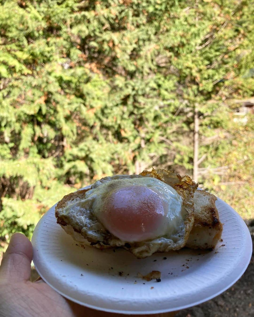 斎藤なりさんのインスタグラム写真 - (斎藤なりInstagram)「柿ジャム作ってもらってパンに塗って食べた！ ついでに目玉焼きも焼いて食べた🍞」11月24日 23時00分 - nari_eye