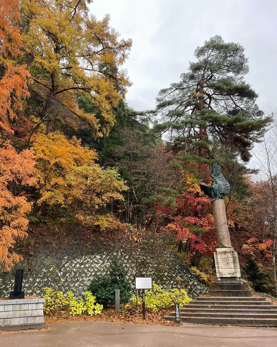 大林素子さんのインスタグラム写真 - (大林素子Instagram)「会津のお家からのお散歩❤️ 切なすぎる美しさ まだ秋だぞ、と言う様な 儚さが美し過ぎる まだまだ皆様をお待ちしてます 観光の方が、大林さんのポスター見ました、と、何人かに声掛けて頂きました。有難い！ 飯盛分店にCDと共に置かせて 頂いております！是非、いらして、御朱印と一緒にゲットして下さい・笑  さぁ、束の間の充電🔌完了  仕事へ！ 福島スカイパークにて あの方✈️と対談させて頂きます」11月24日 11時19分 - m.oobayashi