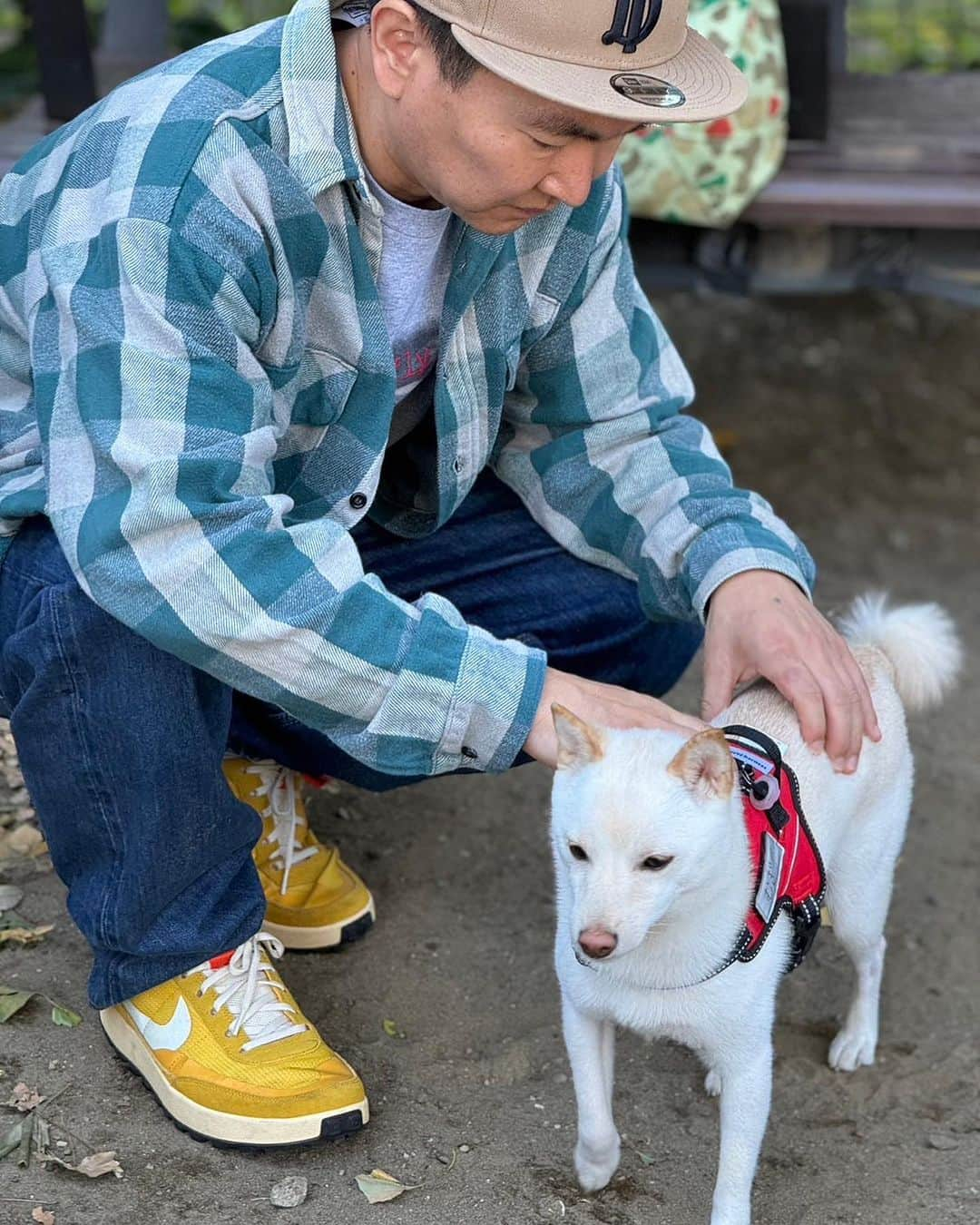 山内健司（かまいたち）さんのインスタグラム写真 - (山内健司（かまいたち）Instagram)「。 今日は仕事前にむぎとお散歩🐕  日差し浴びました🛀  今日はAvalonオンラインで買えたバタフライエフェクトTシャツ😆毎回ヤバいTシャツばっかり出しはる😱😱😱どうやってはるの？😳😳😳😳😳😳😳😳😳😳😳というお店です😂  バタフライエフェクトは映画好き友達に勧められて学生の時に見たのよなー😆  よく見ると目のとこに主演のアシュトン・カッチャーが映ってる😍  まじで販売してるの見たことないTシャツだったからめちゃくちゃ嬉しい😍😍😍コンディションも最高、サイズも最高👍👍👍  アウターは髭さんのYouTube見て、髭オンラインで買わせてもらおうとチャレンジして買えなかったFIVE BROTHERSのブロックチェックシャツを自力でほぼ同じの見つけて買ったやつ😂😂😂  髭さんは嘘みたいに髭な店長がやってるお店です😂毎日チェックのお店や😂😂  昨日はルミネで単独ライブ✋  ファンクラブ限定ライブ✋✋✋  きてくれた人ありがとうー😆  またファンクラブ限定系はやっていくので是非是非チェックして下さい✋✋✋  私がほぼ毎日ブログをあげてます✋  私のほうがブログを頻繁にあげてます😂😂😂  #ヴィンテージTシャツ #バタフライエフェクト #thebutterflyeffect  #fivebrothers  #かまいたち山内 #ometachi  #原点回帰」11月24日 11時44分 - sneakerkenji0117