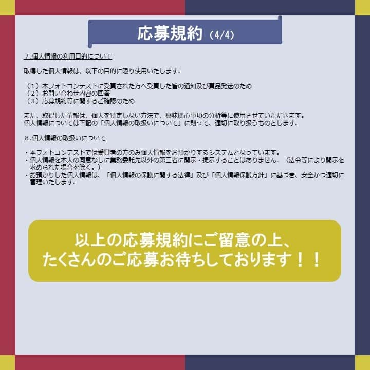 宮城県観光課さんのインスタグラム写真 - (宮城県観光課Instagram)「. ✨第３回「＃ここ好き宮城」フォトコンテスト開催のお知らせ✨ ＼ 今回のテーマはこちら！ 🗻テーマ🚎 ①「いま、したい 仙台・宮城の旅。」～ 仙台・宮城の旅、思い出の１枚 ～ ②「＃みやぎ鉄道たび」モデルコースの場所に行ってきました！  応募方法はこちら！ ✅本アカウント @miyagi_pref_kankou をフォロー ✅「#ここ好き宮城2023」「#撮影場所」をつけて投稿 ✅テーマ②に応募する場合は「#みやぎ鉄道たび」をつけて投稿 ぜひ、ご応募ください🌿  🌼応募期間 2023年11月25日(土) ～ 2024年３月17日(日)  🌼賞品 【最優秀賞(各テーマ１名・合計２名)】 「みやぎおかみ会」加盟宿泊施設で使えるペア宿泊券（2名様30,000円相当）  🌼受賞発表 ご応募いただいた方の中から選考を行わせていただきます。 受賞された方には、３月下旬～４月上旬ごろDMにてご連絡いたします。  ——  ＜応募規約＞ 画像５〜８枚目に記載しておりますのでご確認ください。 ＜「#みやぎ鉄道たび」モデルコース＞ 画像９・10枚目に記載しておりますのでご確認ください。 また、仙台・宮城観光キャンペーン推進協議会事務局のHPでもご確認いただけます。 詳しくは、ハイライトをご覧ください🔗  ——  #宮城 #宮城県#ここ好き宮城2023 #みやぎ鉄道たび #東京カメラ部  #ここ好き宮城 #東北 #宮城観光 #宮城旅行 #笑顔咲くたび伊達な旅 #フォトコンテスト #宿泊券 #キャンペーン #プレゼントキャンペーン #プレゼント企画 #キャンペーン企画 #プレゼント企画実施中 #キャンペーン実施中 #tohoku #miyagi #sendai」11月24日 11時48分 - miyagi_pref_kankou