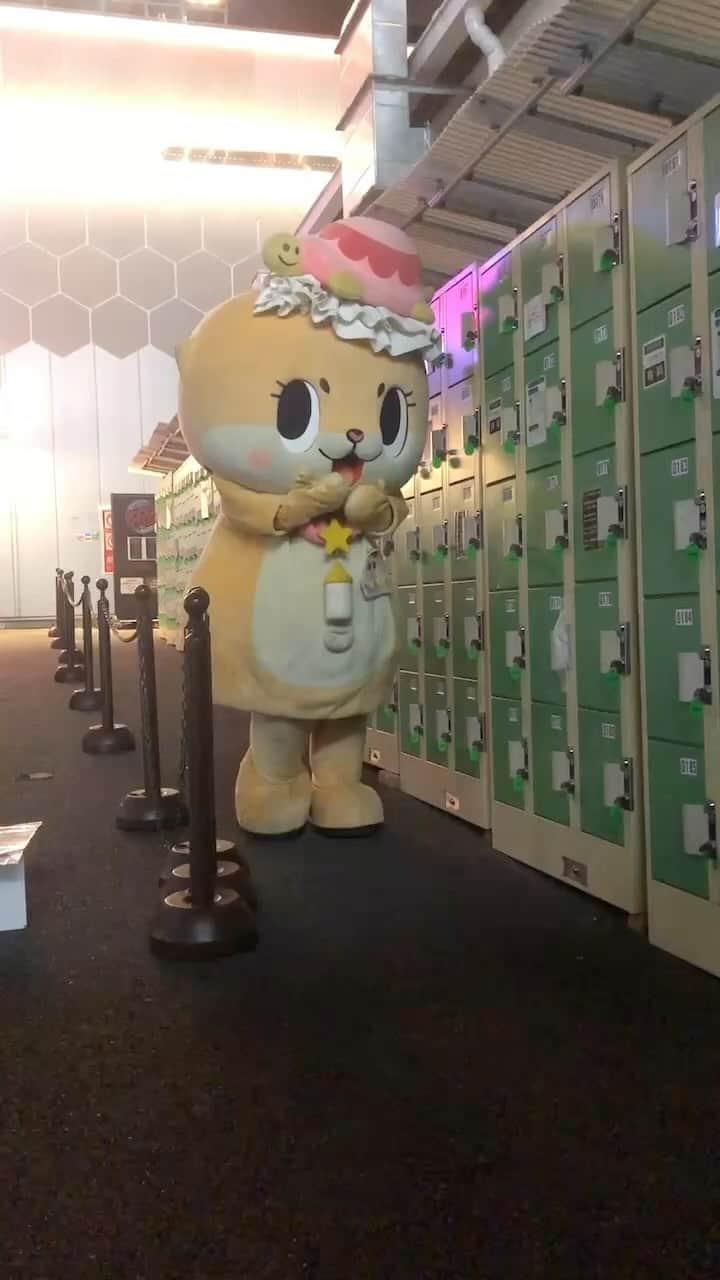 ちぃたん☆のインスタグラム：「忙しい忙しいっ☆ 年末は妖精としてのお仕事が忙しいですっ☆ちぃたん☆ですっ☆  Chiitan job is to fart in the locker.」