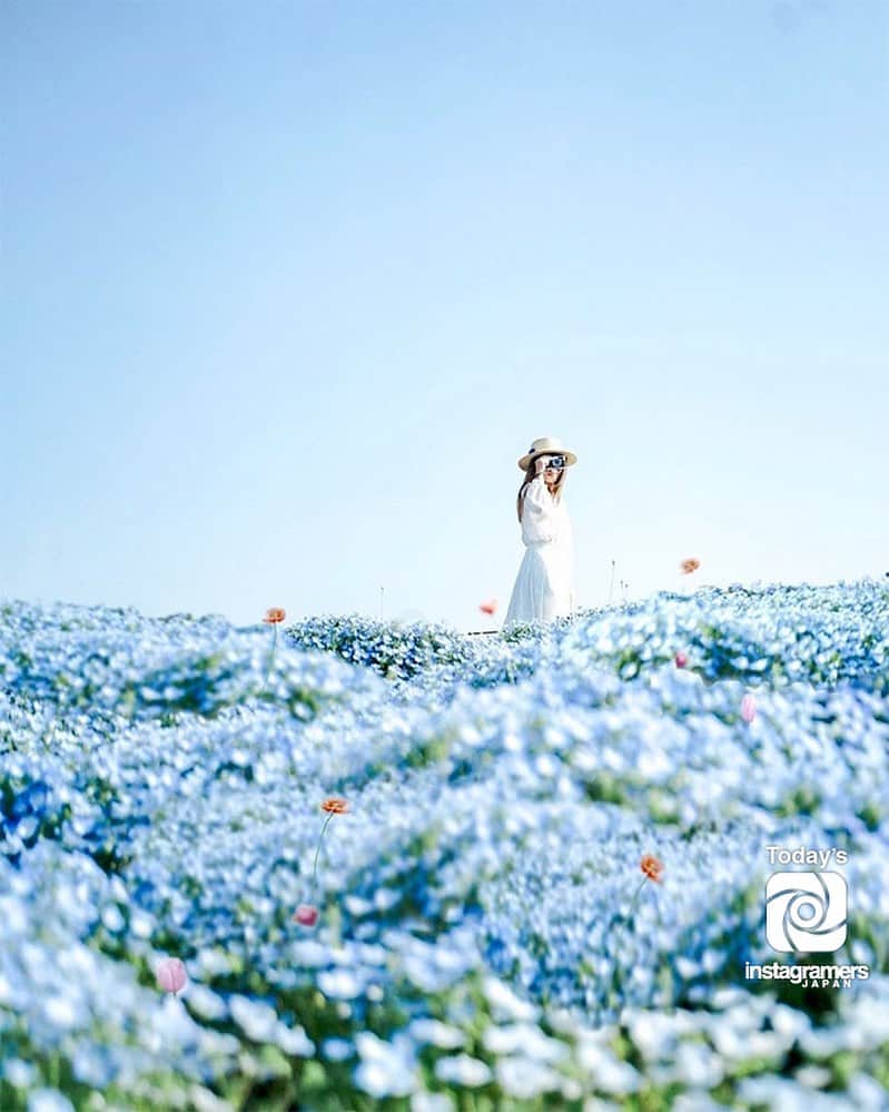 InstagramersJapanのインスタグラム：「. Today's IGersJP is out !!! @bechan7 . インスタグラムに #IGersJP タグを付けて頂いた投稿の中から @IGersJP 担当者がピックアップした作品を毎日紹介しています！」