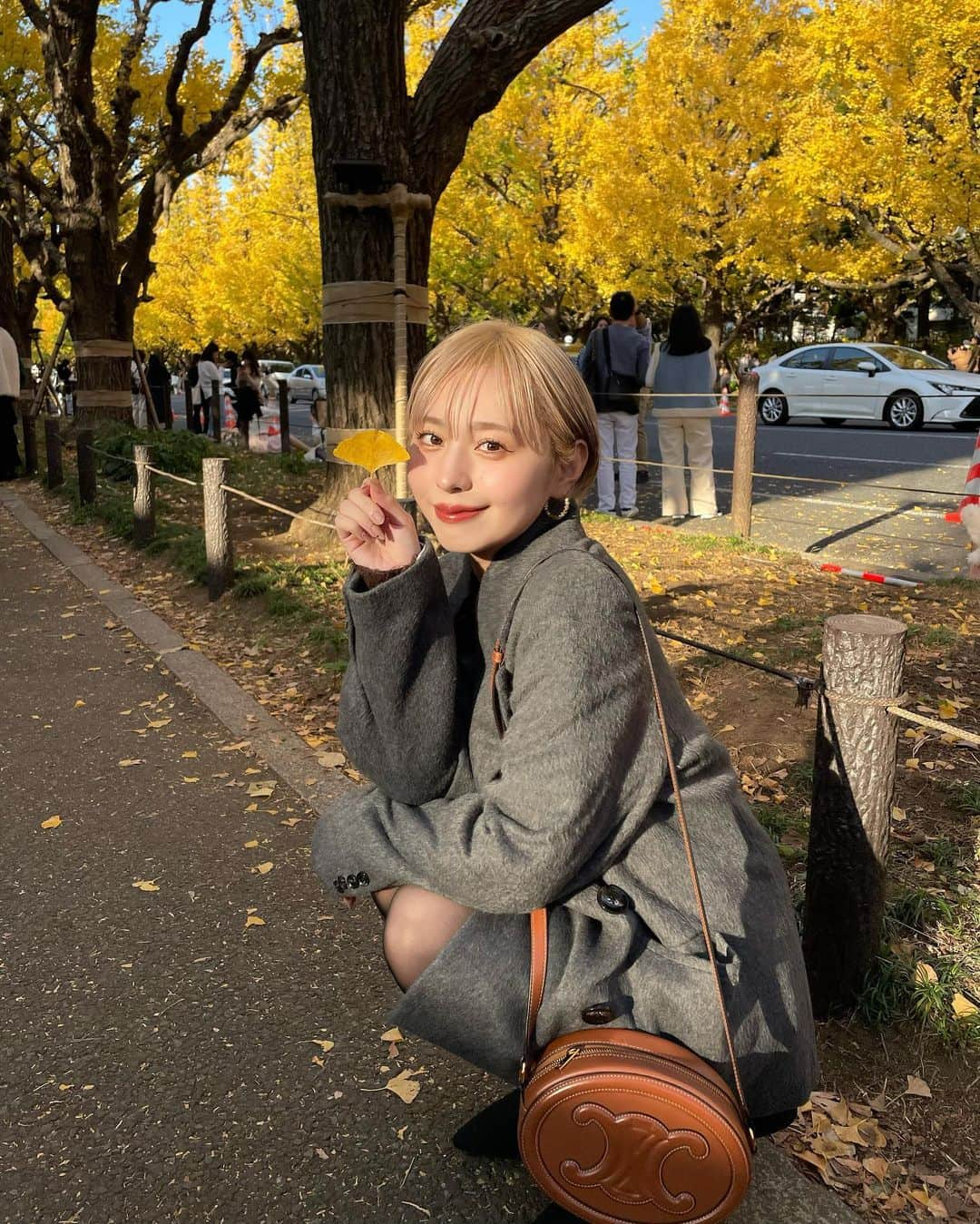 MIORIのインスタグラム：「いちょう並木〜🍂  外苑前のここは毎年きれいだね😌🤍 今日は1年ぶりくらいにマツエクを！ 昔より馴染んでるような気がする笑  明日から寒いらしいからみんな身体に気をつけて〜🥶  お洋服最後にタグ付けしてます！  ・ ・ ・ #ショートヘア#ショートカット#ハイトーンショート#ハイトーン#ミニボブ#ハイトーンボブ#マツエク」