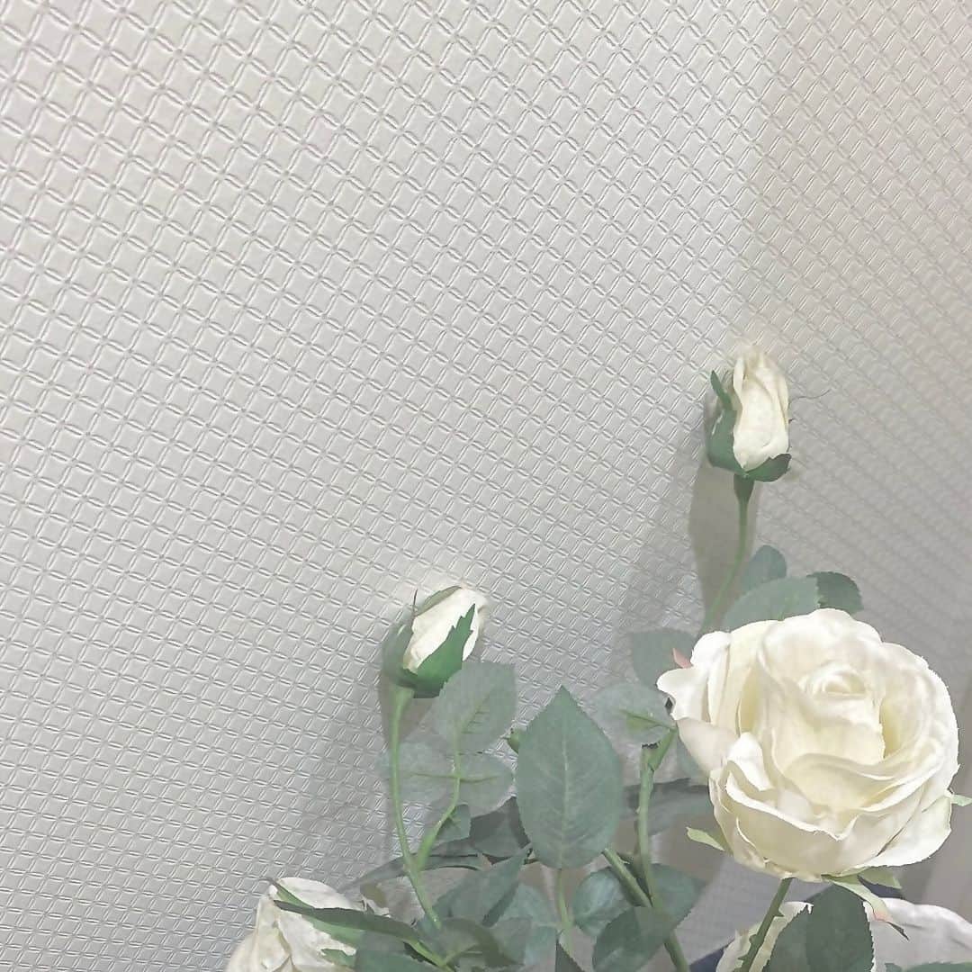 上田美夢さんのインスタグラム写真 - (上田美夢Instagram)11月24日 21時53分 - __m.u2525