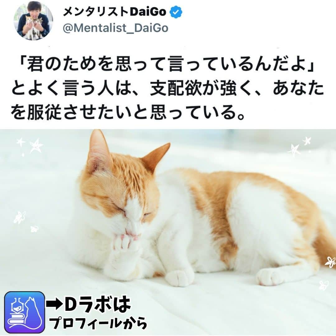 メンタリストDaiGoのインスタグラム：「🐈本日の名言📚 プロフィールからDラボもみてね  #心理学 #メンタリスト #dラボ  #dラボはプロフィールから」