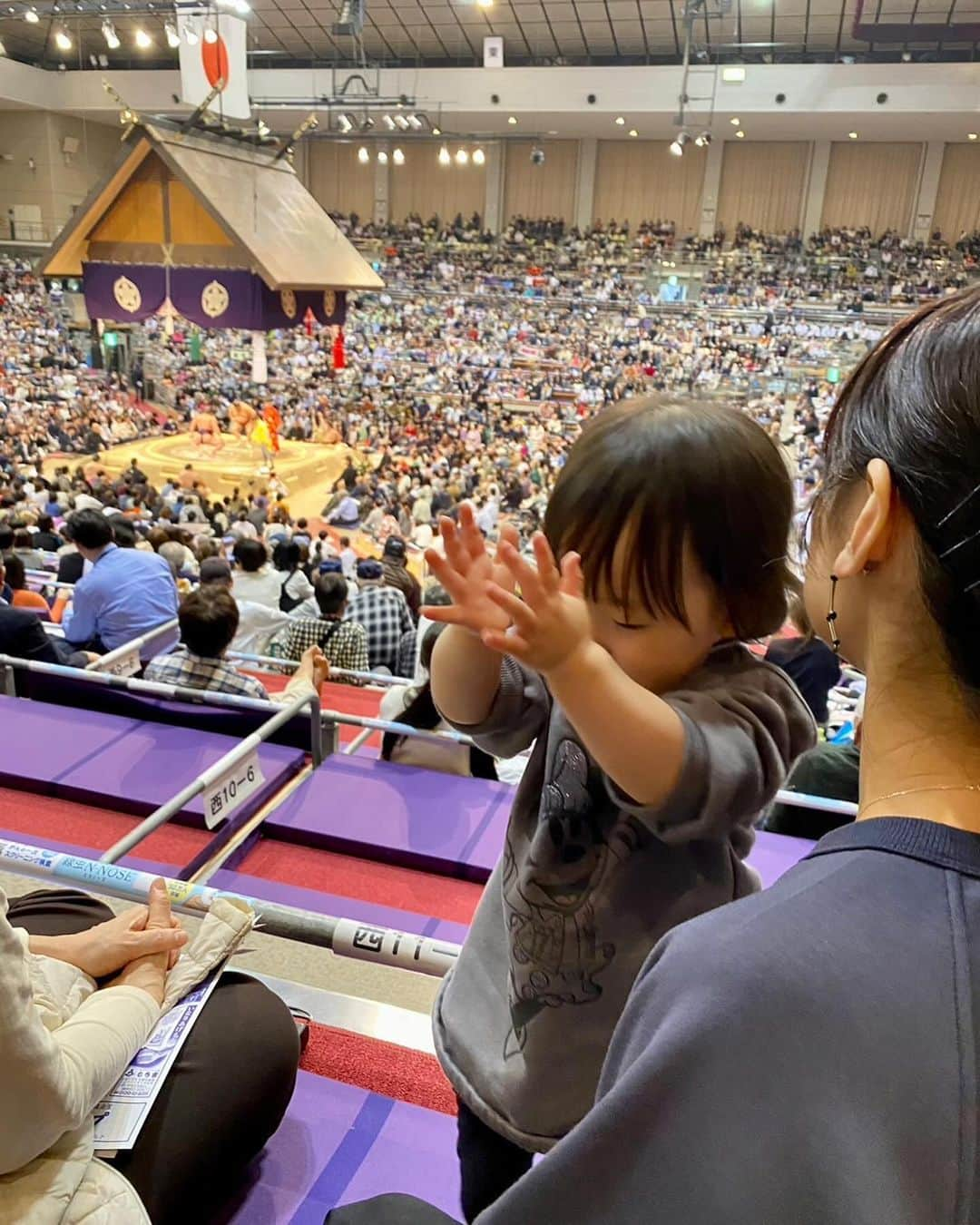 深瀬智聖さんのインスタグラム写真 - (深瀬智聖Instagram)「初めての大相撲九州場所🍂  ネットではチケットがほぼ完売だったので、雰囲気だけでもと会場に行くと枡席のバラ売りが出ていて、それでもやはり良いお席💰ですし、時間も時間だし…と悩んでいると、 私達の目の前で超ラッキーだよ！と言いながら買っていく人たちにつられて勢いで入場しました🫣！  いや〜よかった！ あの賑わいとお相撲さんの迫力に圧倒されました！ ほぼ相撲の知識ゼロだけど楽しめた✨ 娘も沢山の人にびっくりしていたけど、周りに合わせて拍手したり、飽きたらYouTubeみたりと自分なりに過ごしてくれました🥹👏 お土産も買えてよかった〜😆 来年こそはゆっくりじっくり見てみたいな〜  #大相撲 #九州場所  #大相撲九州場所」11月24日 13時46分 - chiseifukase