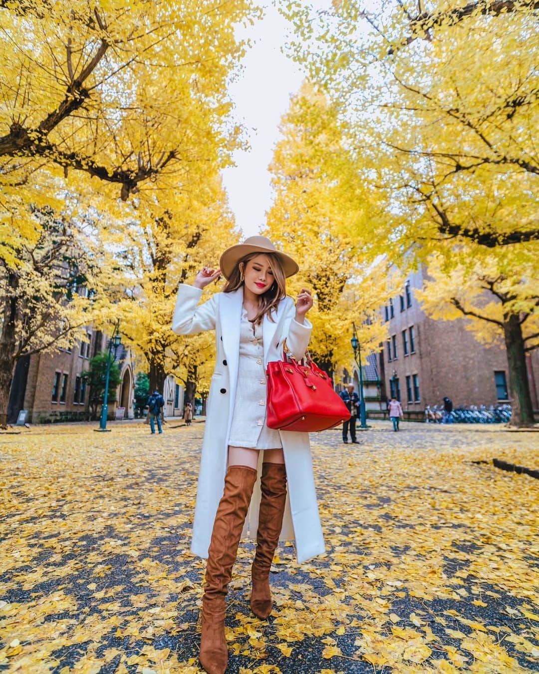Stella Leeのインスタグラム：「It’s finally the season to watch Ginko Trees in Tokyo. If you happen to be in Tokyo this weekend, head to Meiji Jingu Gaien to enjoy the yellow shade 🍂🍂🍂」
