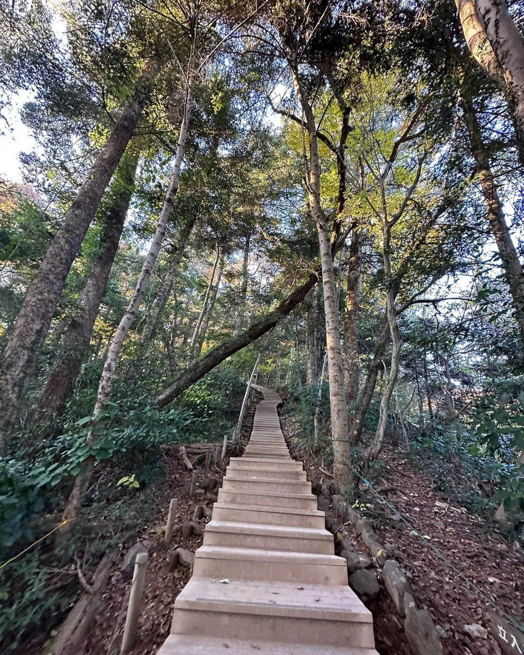 あやか（石山彩花）さんのインスタグラム写真 - (あやか（石山彩花）Instagram)「高尾山もみじまつり🍁  6号路を登って山頂でビール🍻 今年はたくさん紅葉感じた！ 綺麗すぎたなぁ。また登る。  髪巻いてったのに山の湿度で 山頂着く時にはストレートでした笑  #あいさつは幸せを呼ぶ小さな魔法  とゆうことで通りすがる登山客の皆様にこんにちわ！ってたくさん挨拶した🤣🤣こんにちわ！って返ってくると幸せな気持ちになれました！笑  #高尾山 #もみじまつり #🍁 #紅葉スポット #山」11月24日 14時48分 - ayakateen821